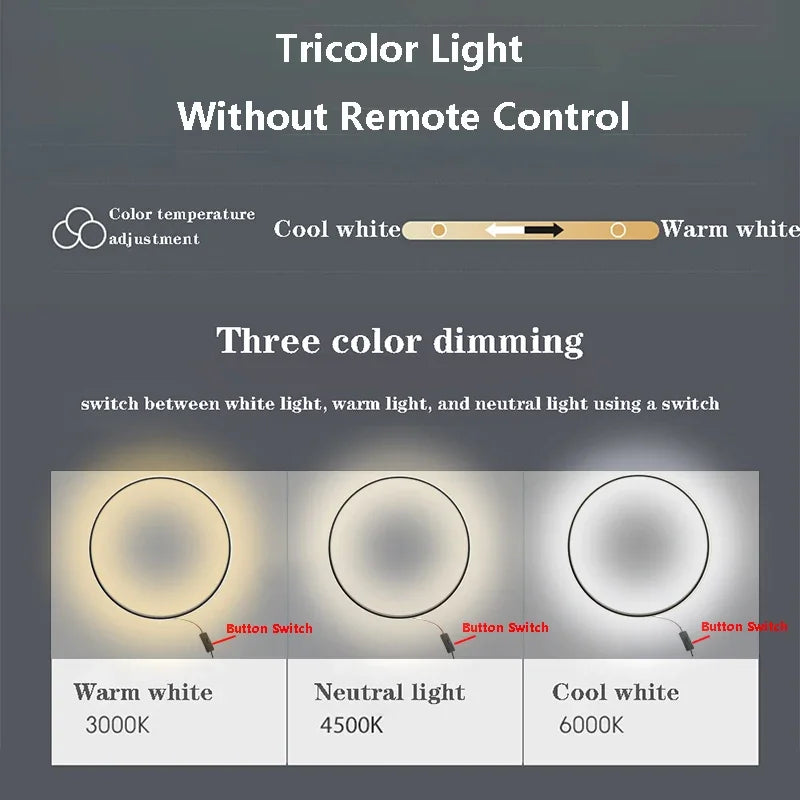 DecorBites™ LED Wall Sconce Large Circle