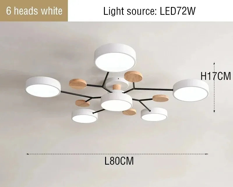 LED Ceiling Light Large Fixture