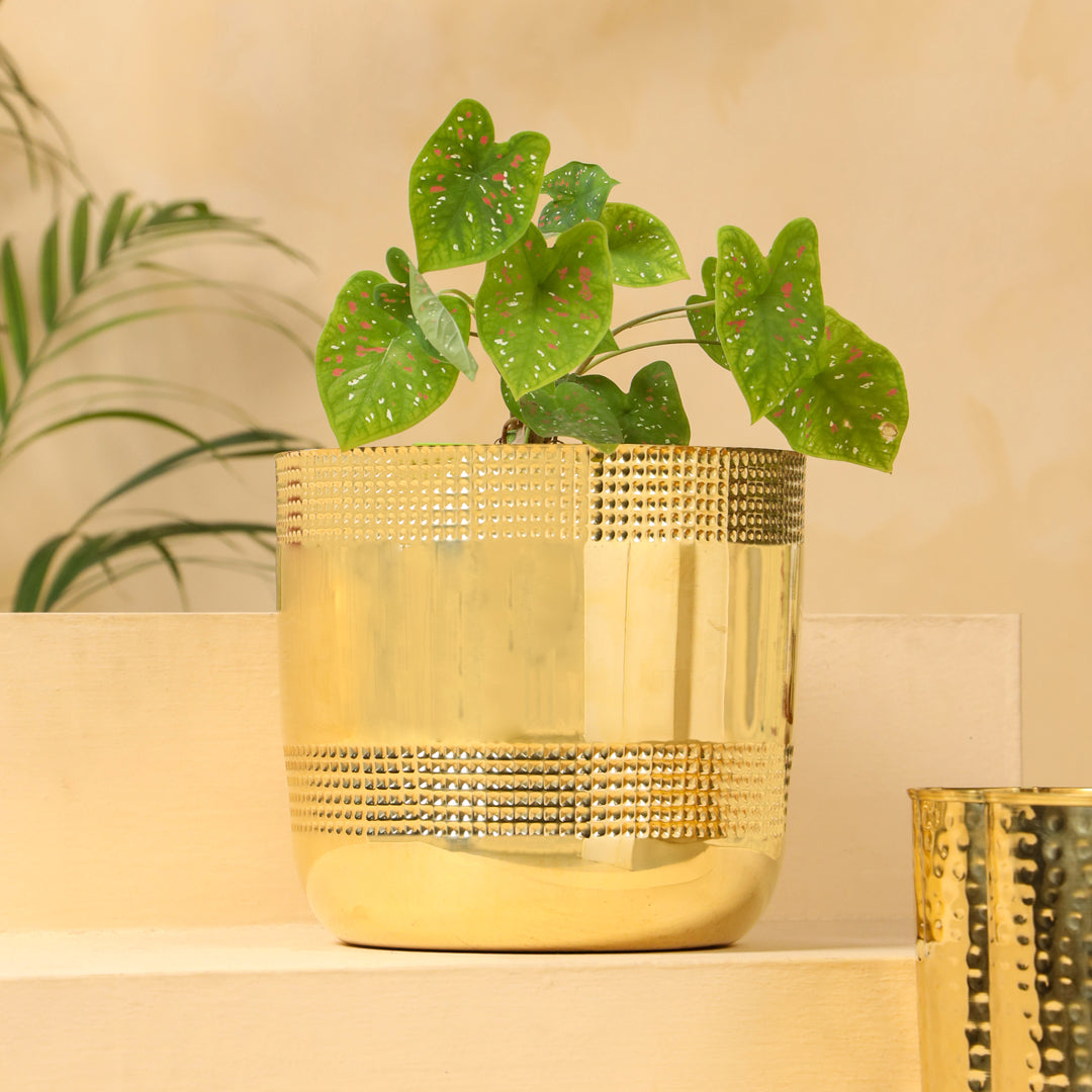 Brass Bucket Planter Pot – 9 Inch Handcrafted Indoor & Outdoor Plant Pot | Sama Homes-4