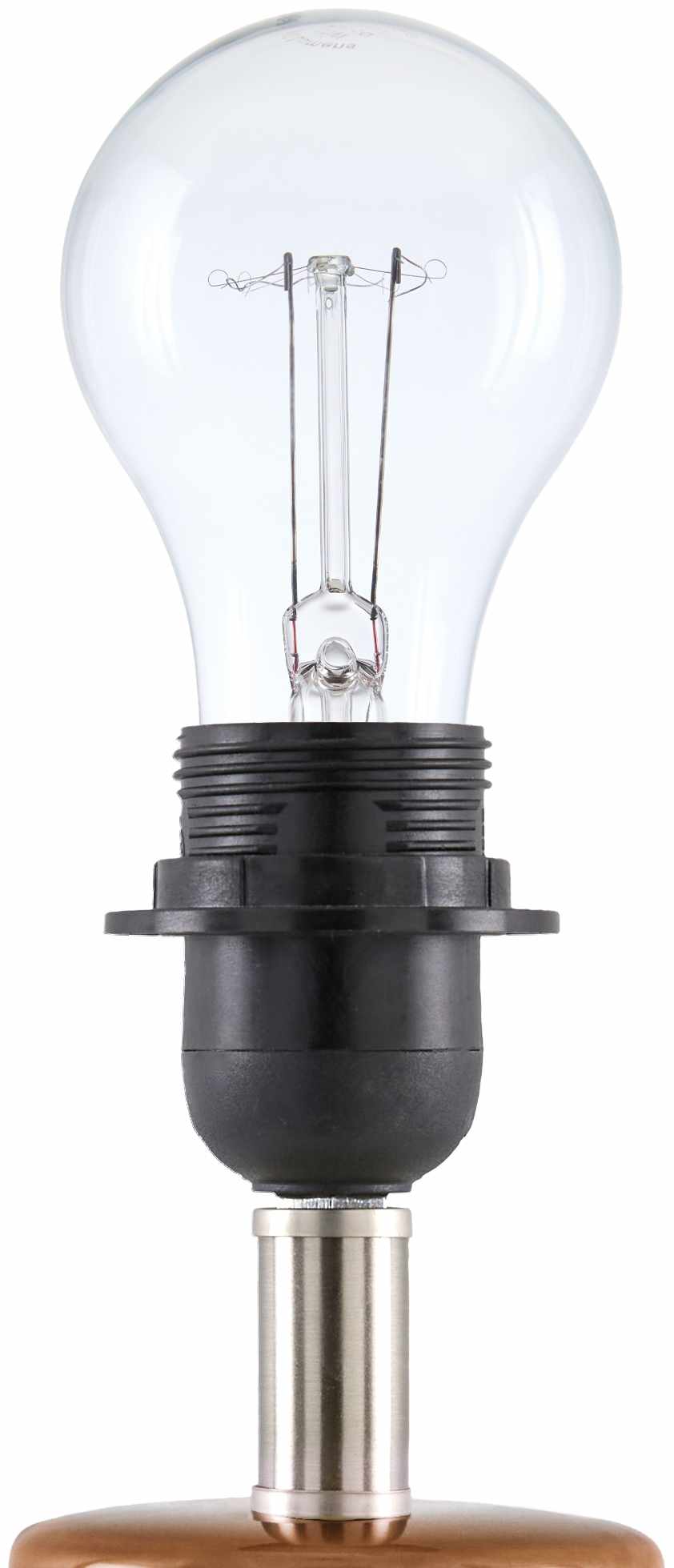 Salgareda Brown Table Lamp-3