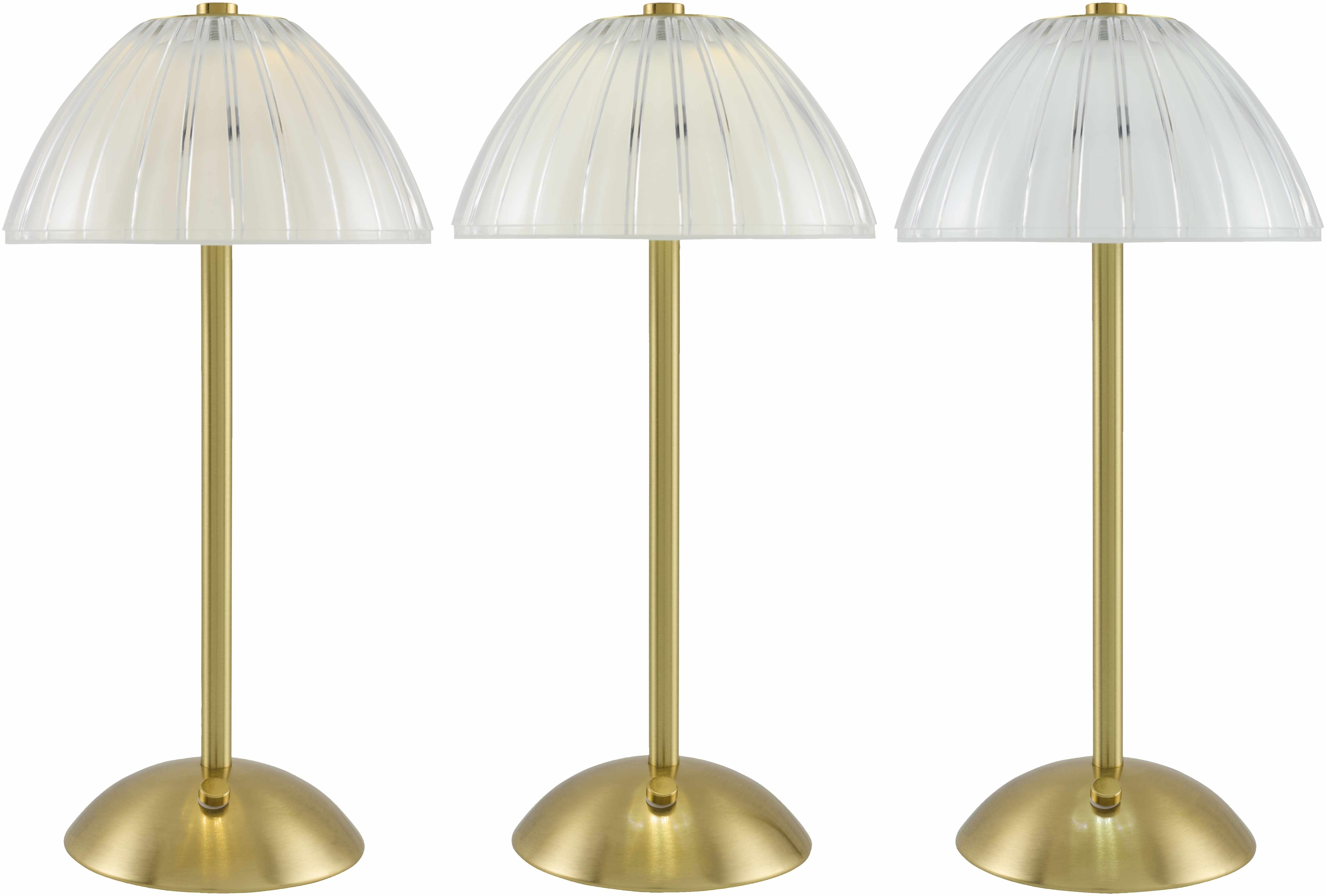 Sibirskiy Table Lamp-1