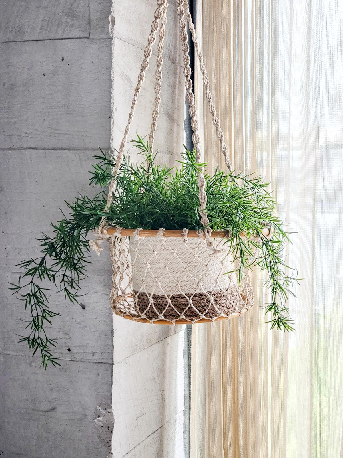 Jhuri Single Hanging Basket - PRHOMZ