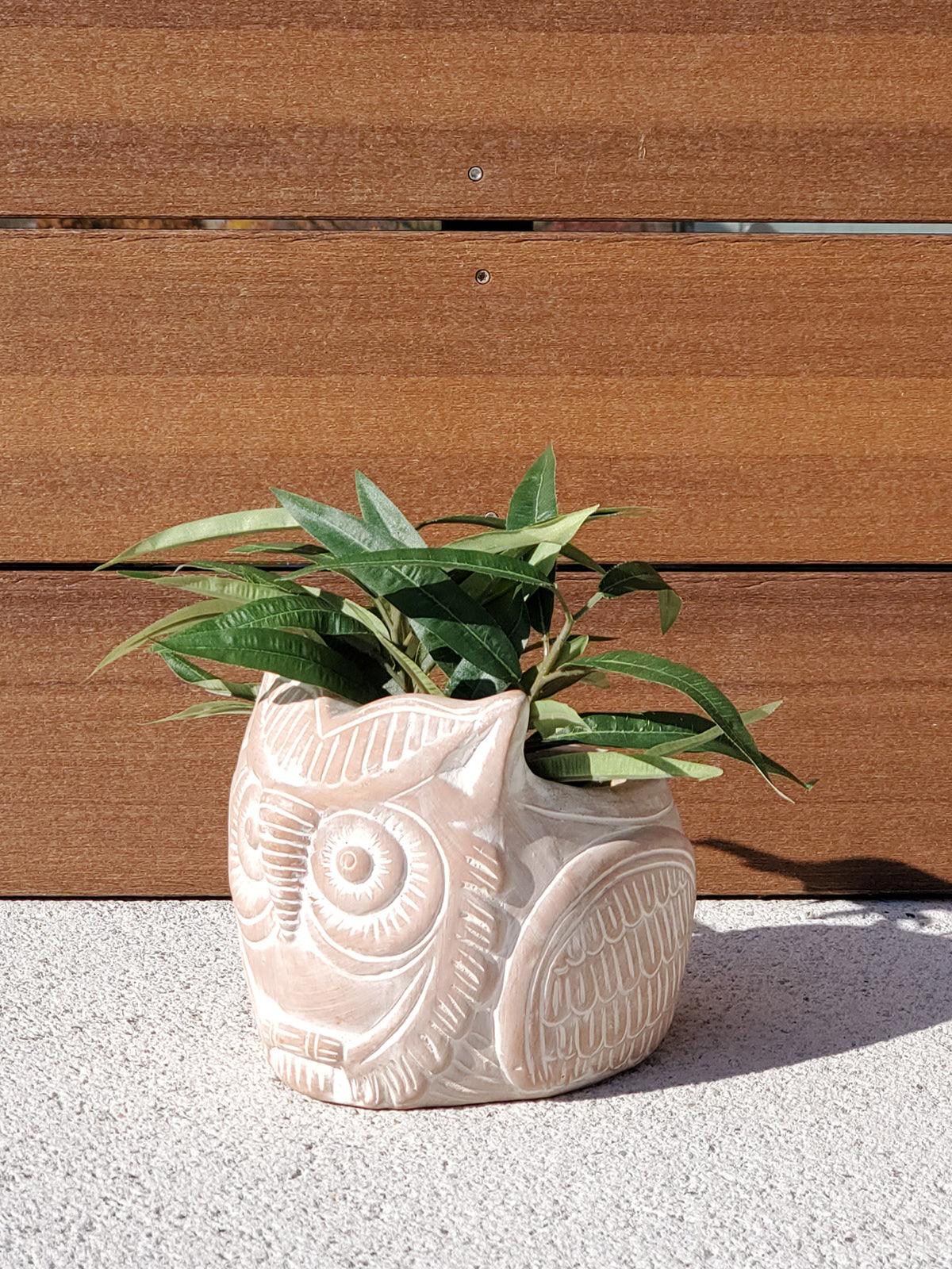 Terracotta Pot - Horned Owl - PRHOMZ