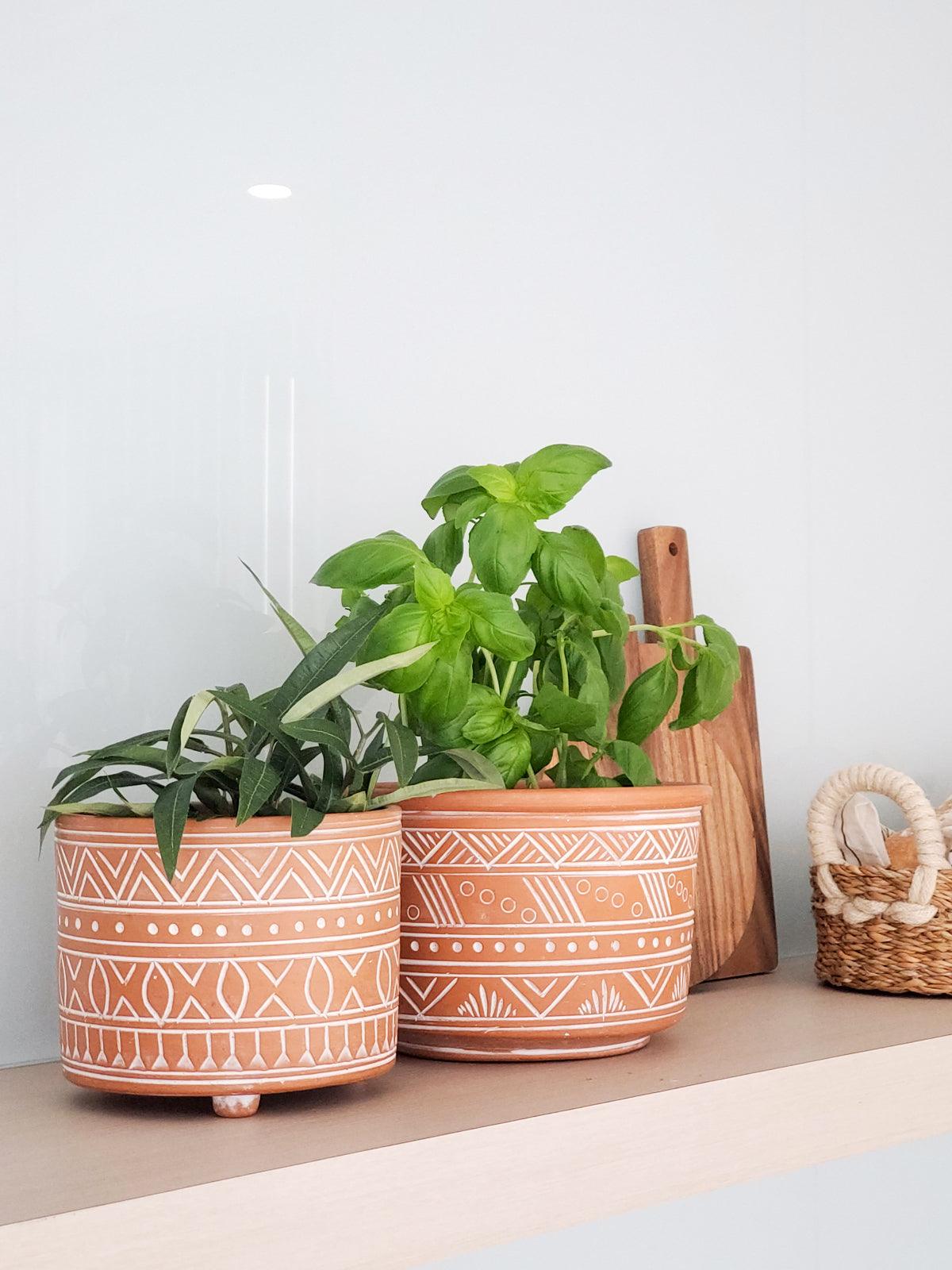 Hand Etched Terracotta Pot - Small - PRHOMZ