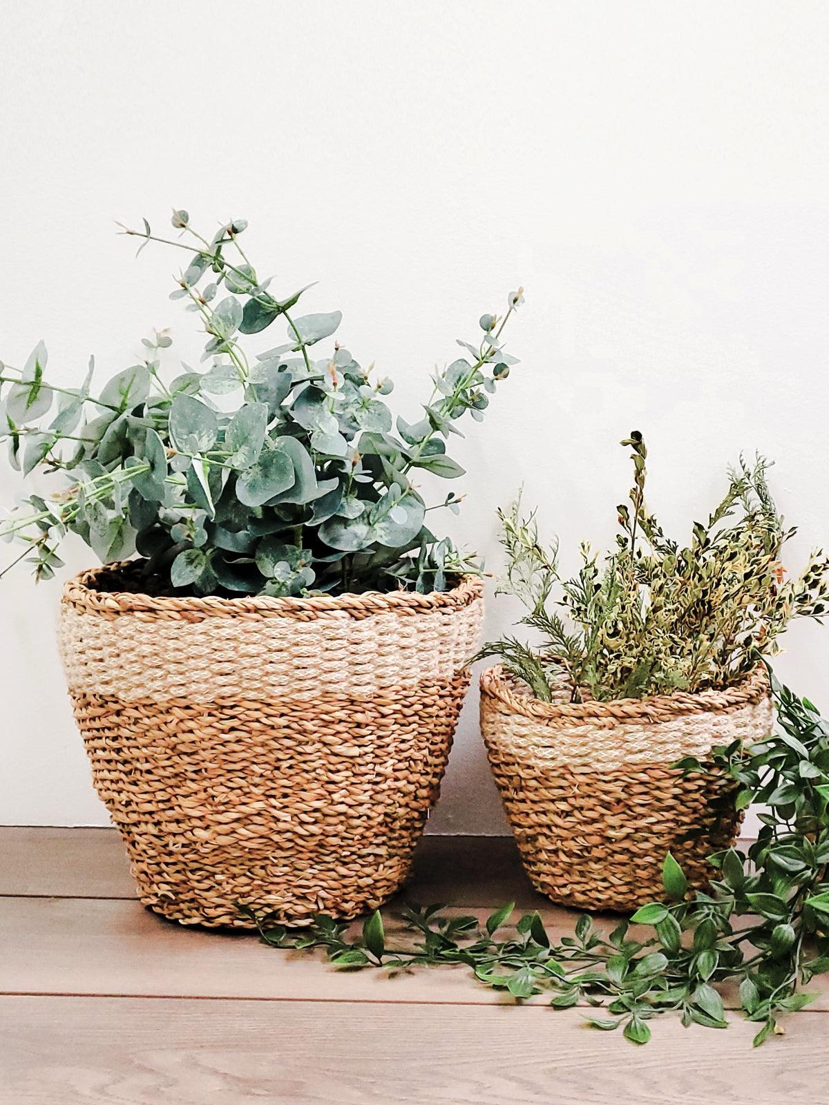 Eco Savar Handmade Planter – Sustainable & Stylish Decor - PRHOMZ