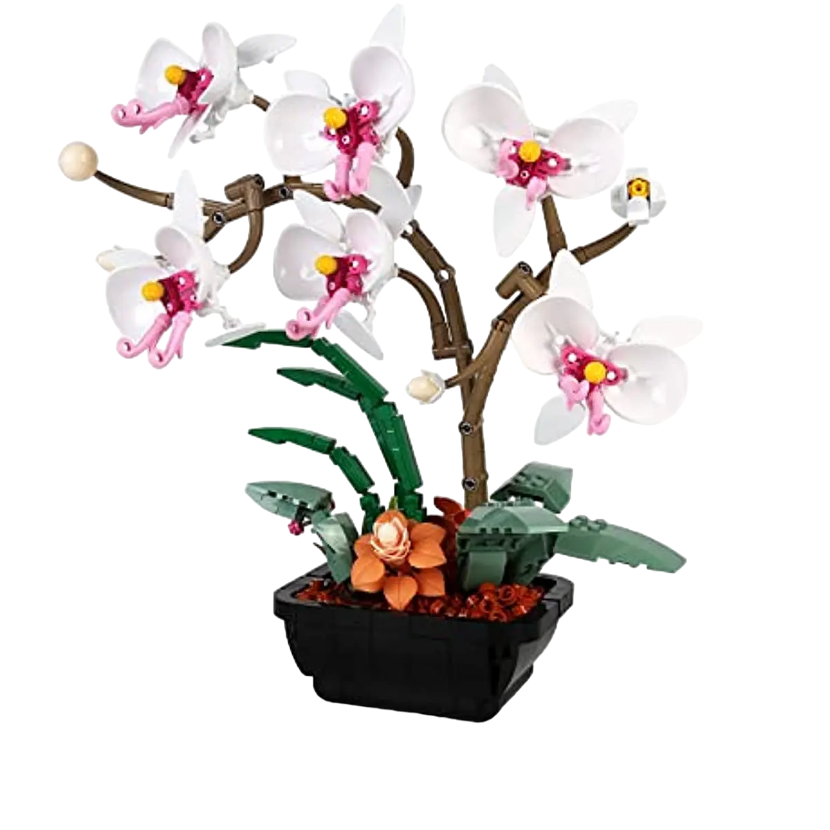 Flowers Orchid Building blocks-0