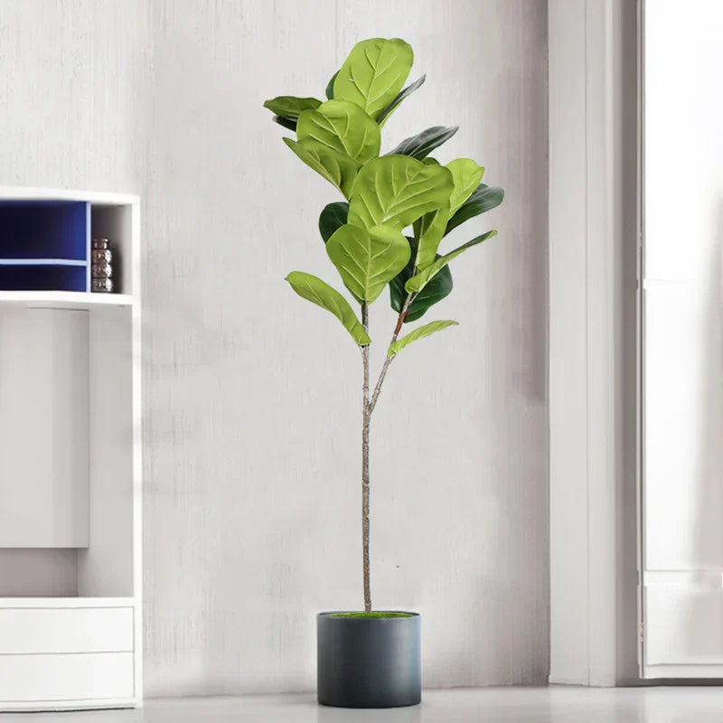 Dlight Decor Tall Ficus Tree for Indoor Outdoor Greenery