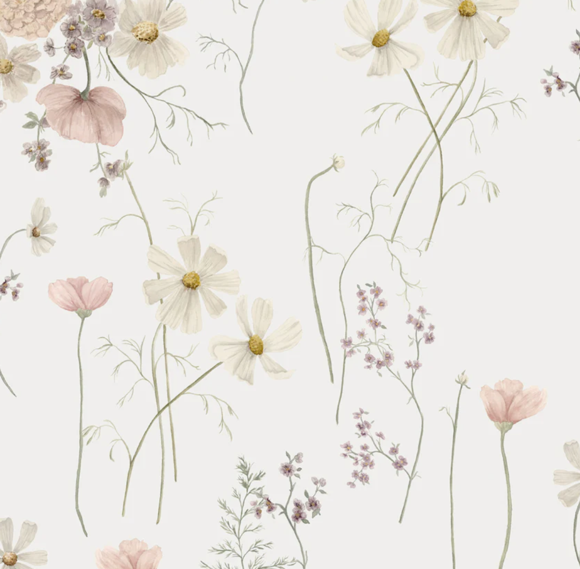 Girl Room Samples
