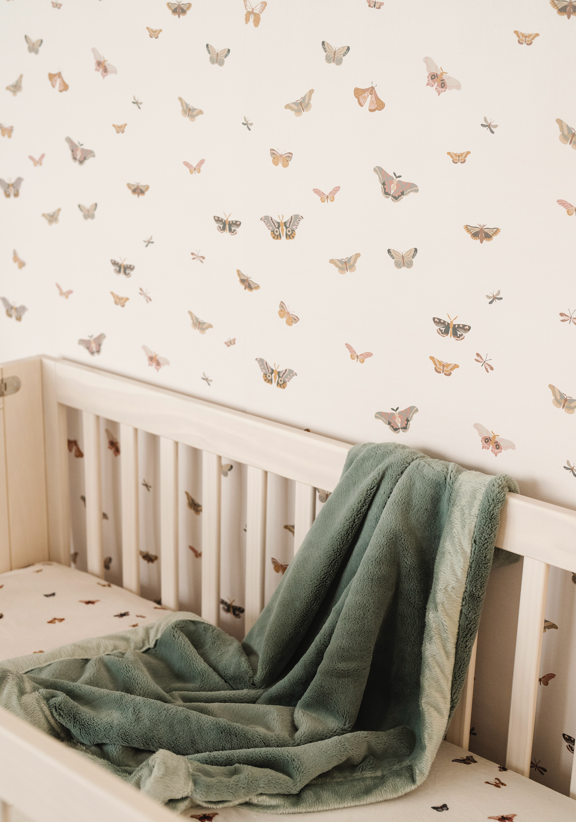 Butterfly Wallpaper by Saranoni