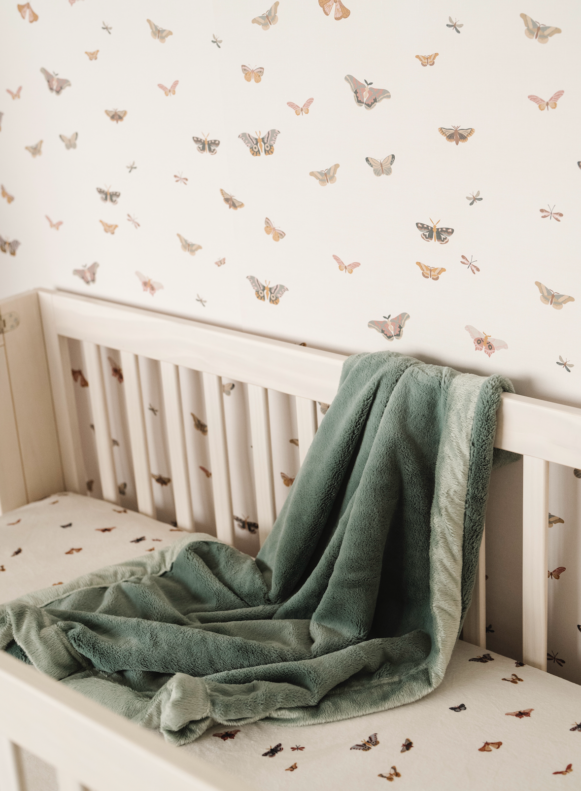 Butterfly Wallpaper by Saranoni