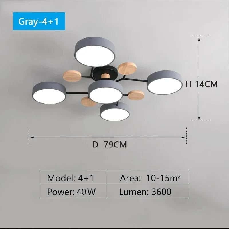 LED Ceiling Light Large Fixture