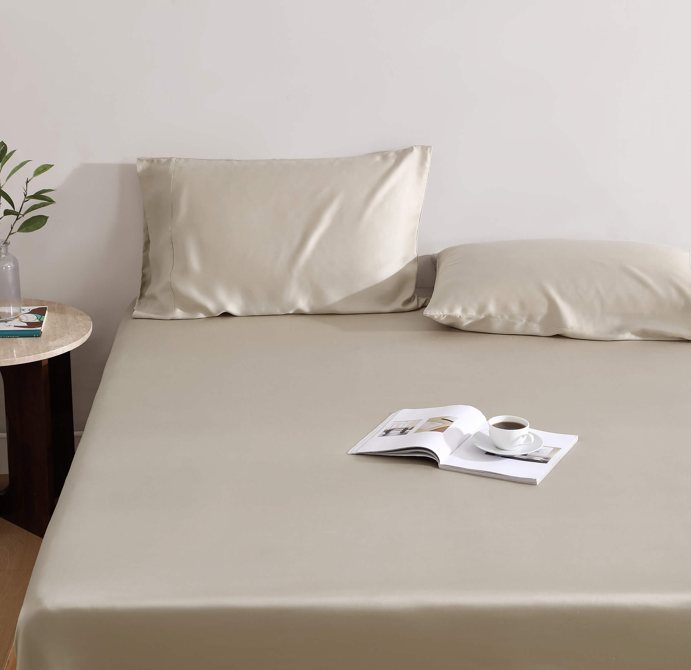 Silky Lyocell Pillowcase Set