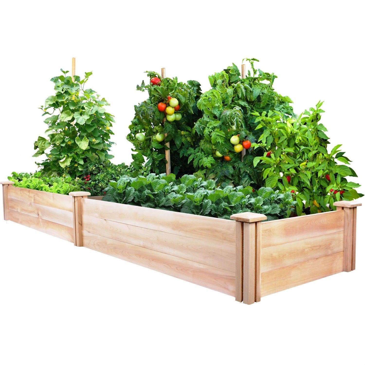 Cedar Wood 2-Ft x 8-Ft Outdoor Raised Garden Bed Planter Frame - Made in USA - PRHOMZ