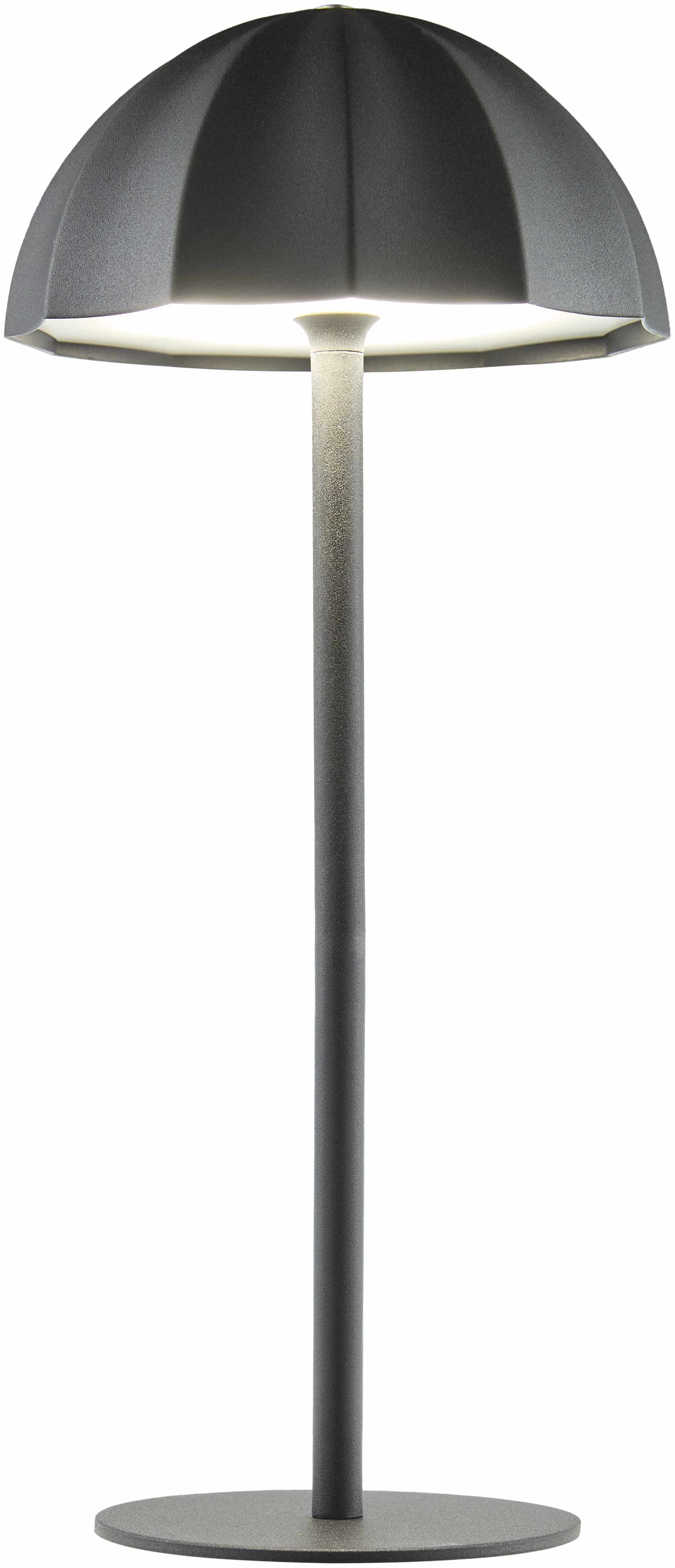 Terriente Table Lamp-1