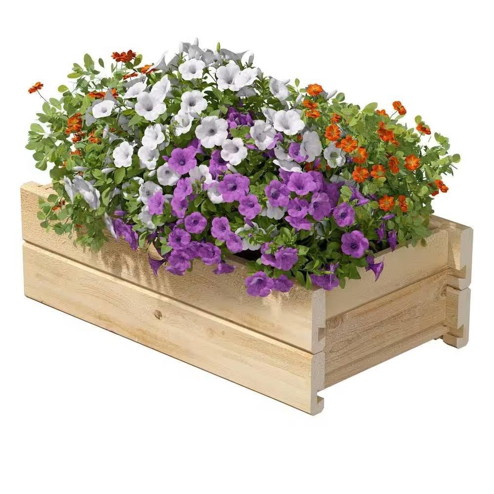 Natural Unfinished Cedar Wood Planter Box 21-inch x 11-inch - Made in USA - PRHOMZ