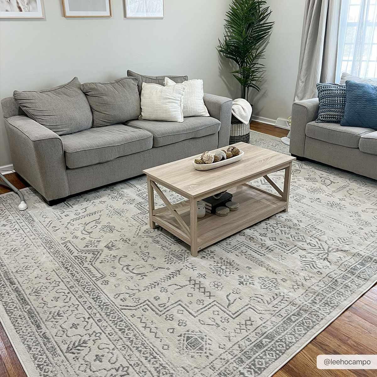 Tigried Ivory & Gray 2323 Area Rug - Clearance - PRHOMZ