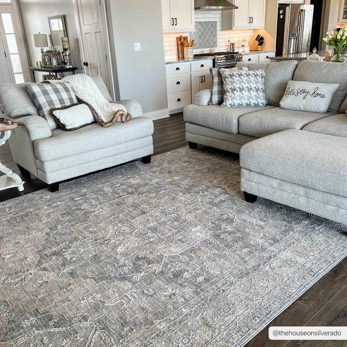 Ulubey Distressed Gray Area Rug - PRHOMZ