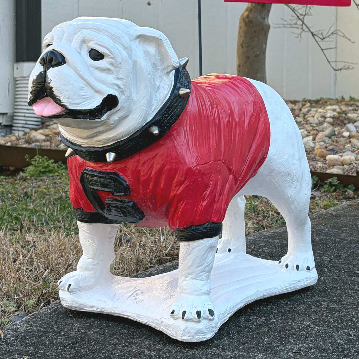 Georgia Bulldogs Standing Mascot Boom Cement Statue for Garden, Yard, Home Decor and Porch.