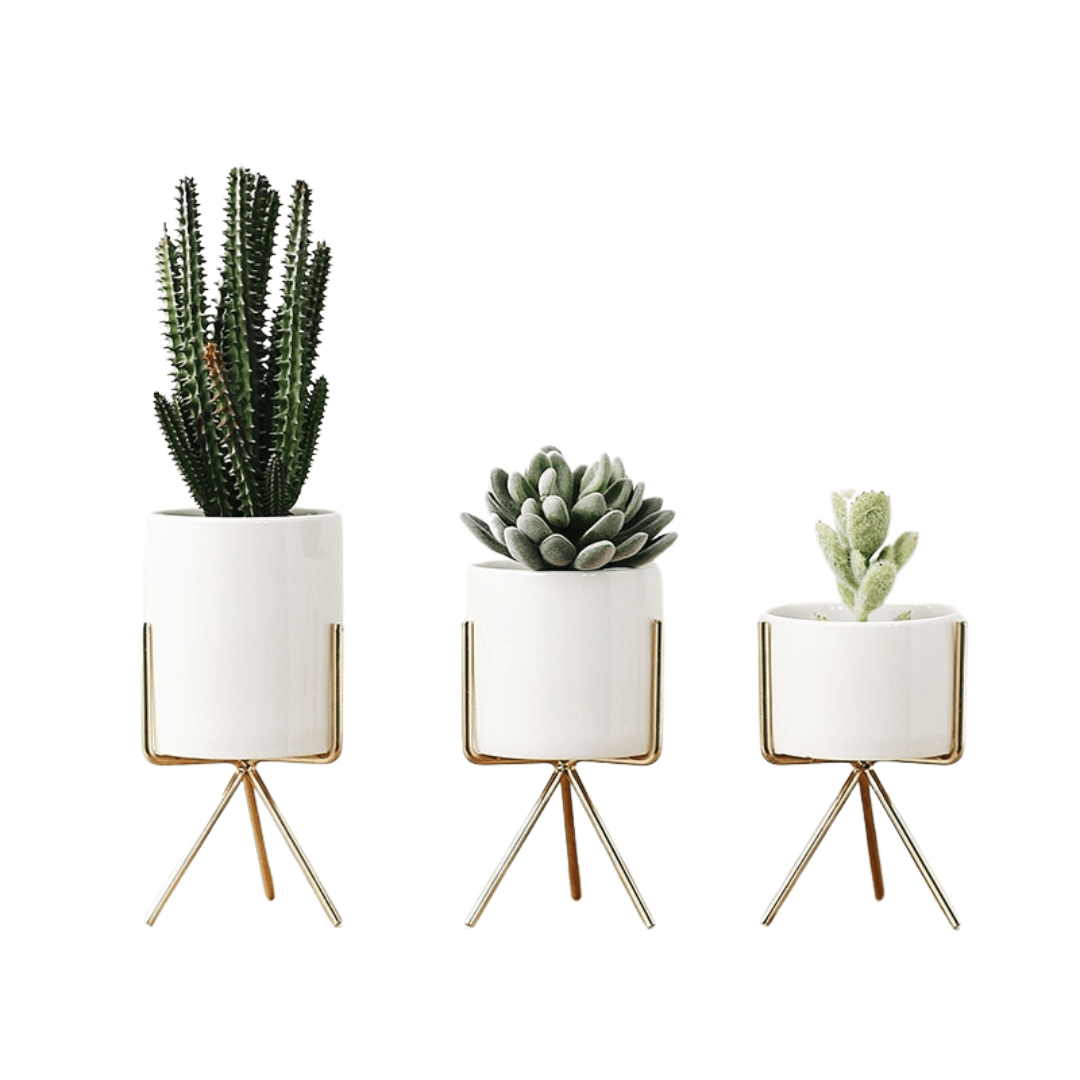 Nordic Ceramic Vase - PRHOMZ