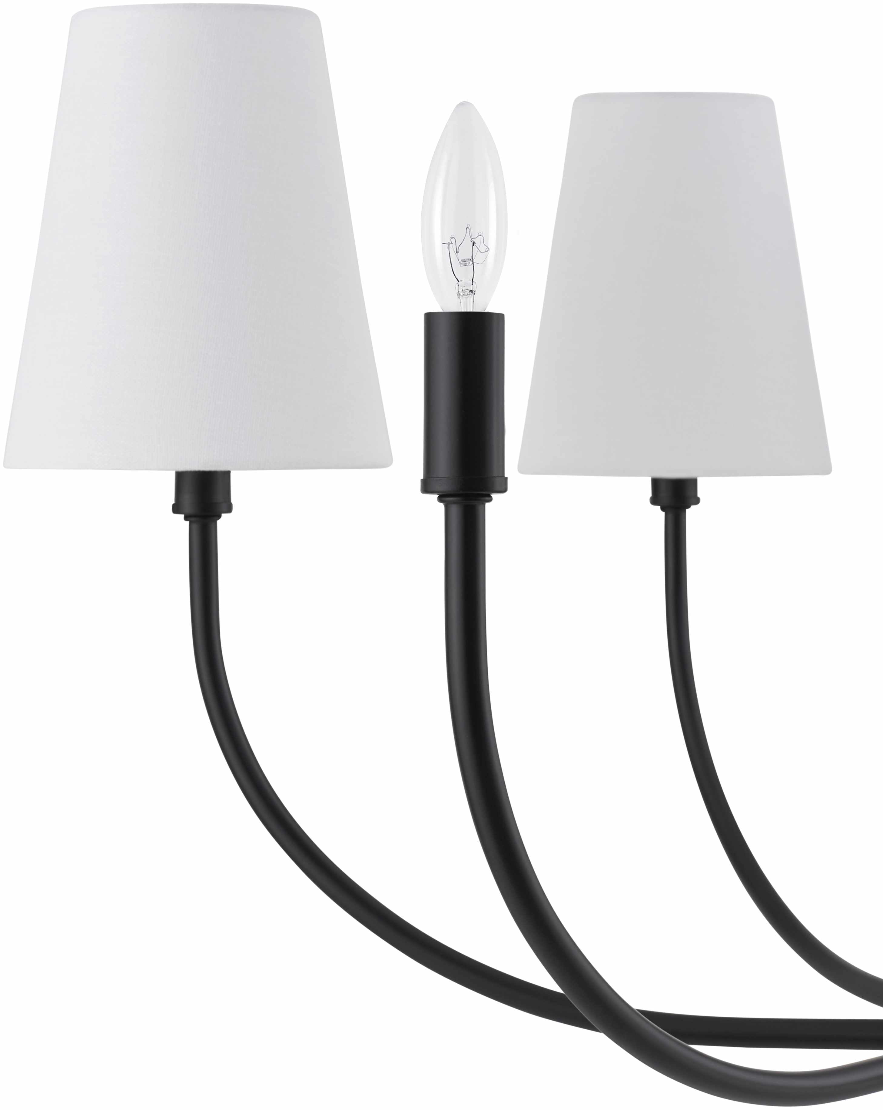 Vishnyovka Black Chandelier-4