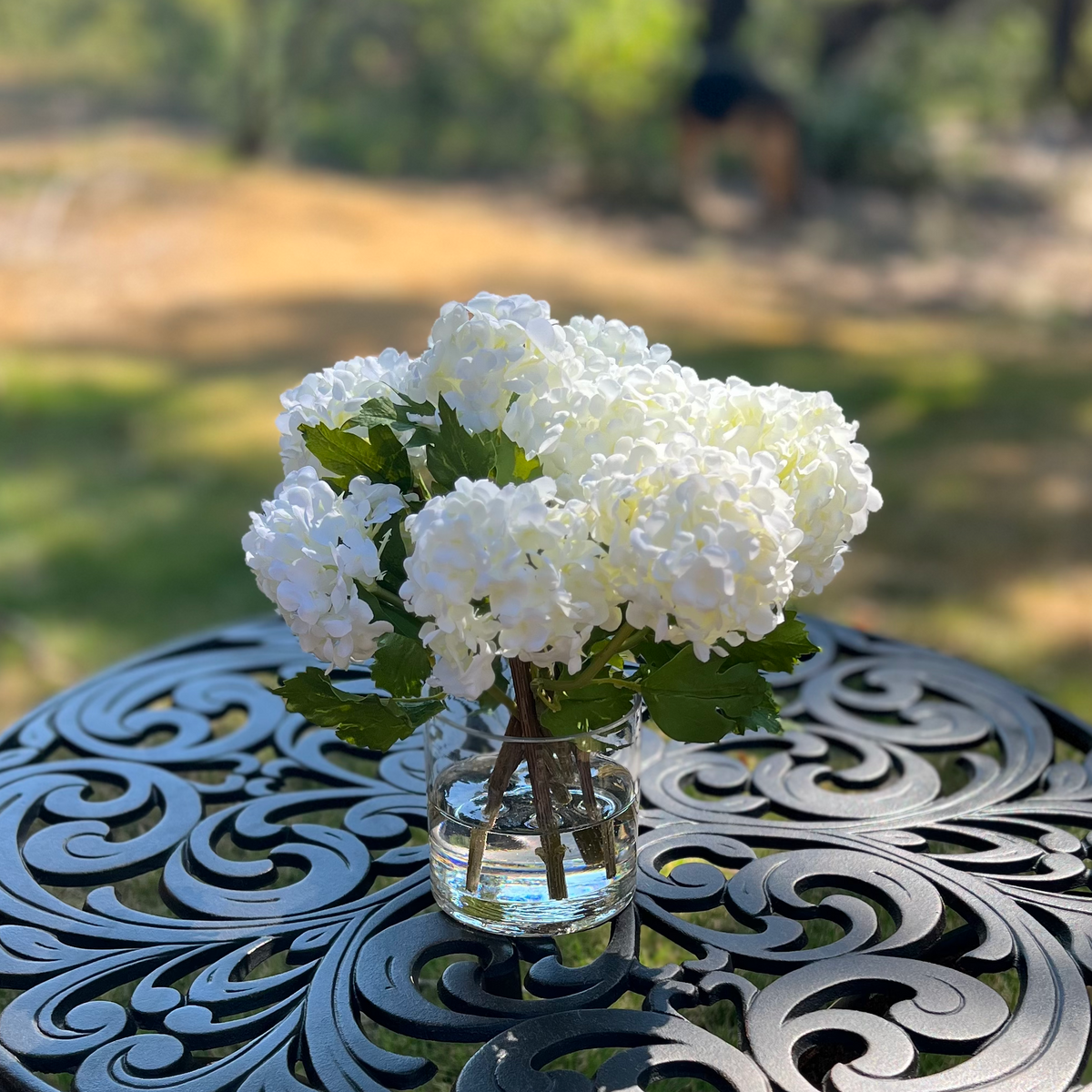 Real touch white hydrangea arrangement in glass vase - 8"