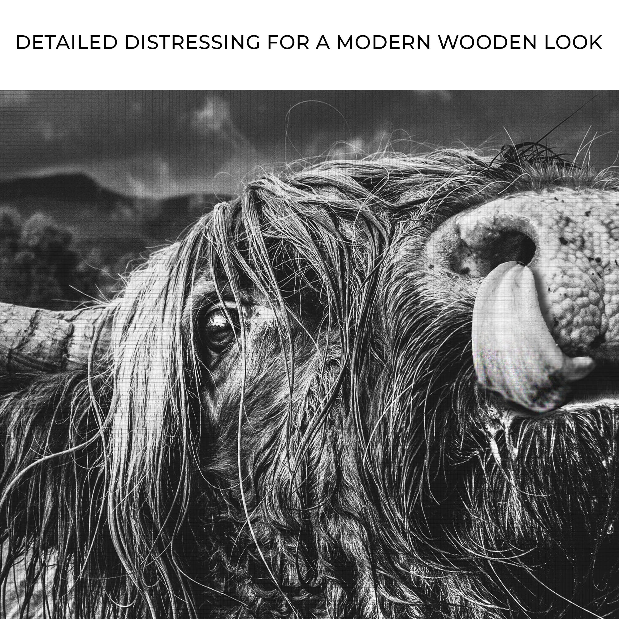 West Highland Cow Monochrome Canvas Wall Art