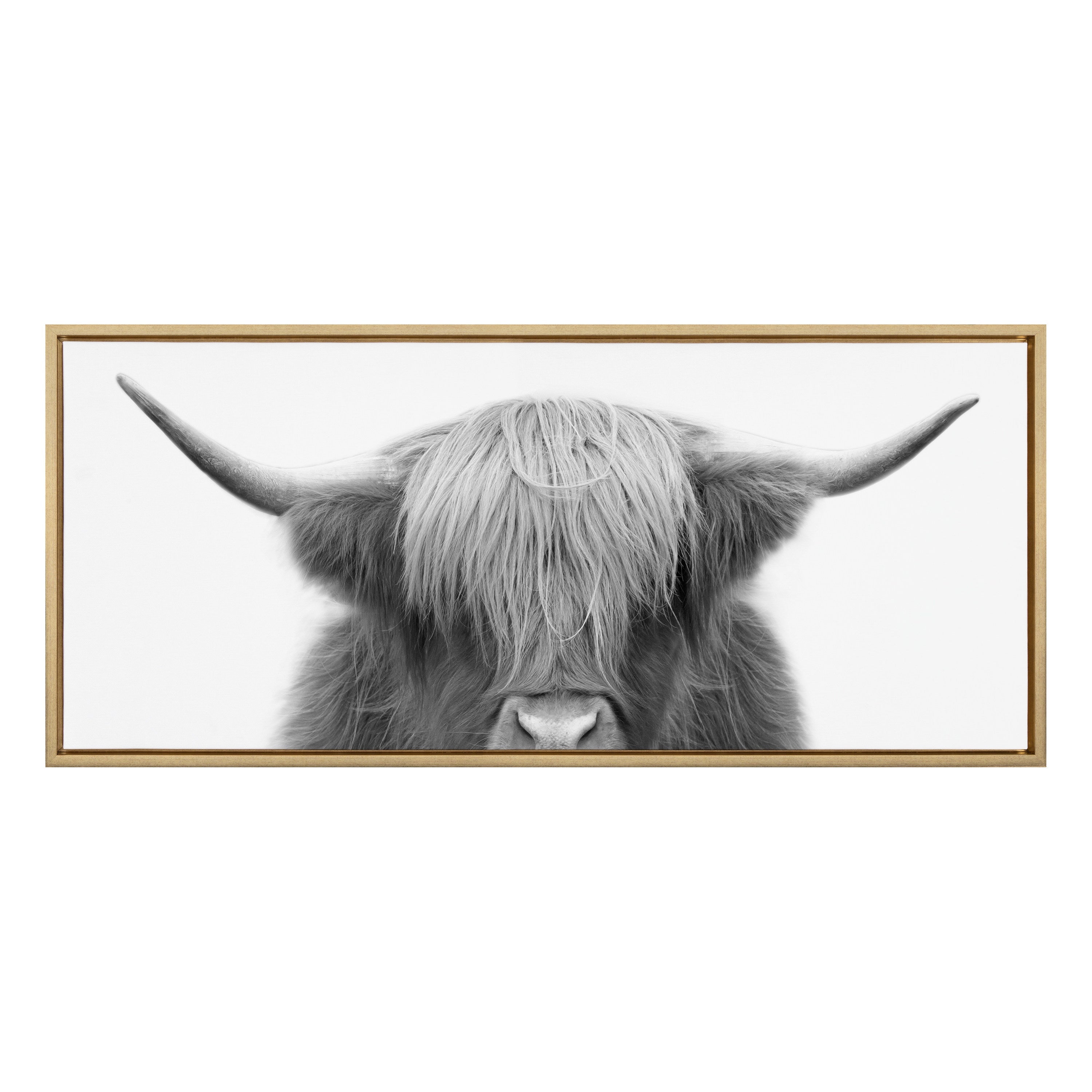 Sylvie Hey Dude Highland Cow Framed Canvas by The Creative Bunch Studio
