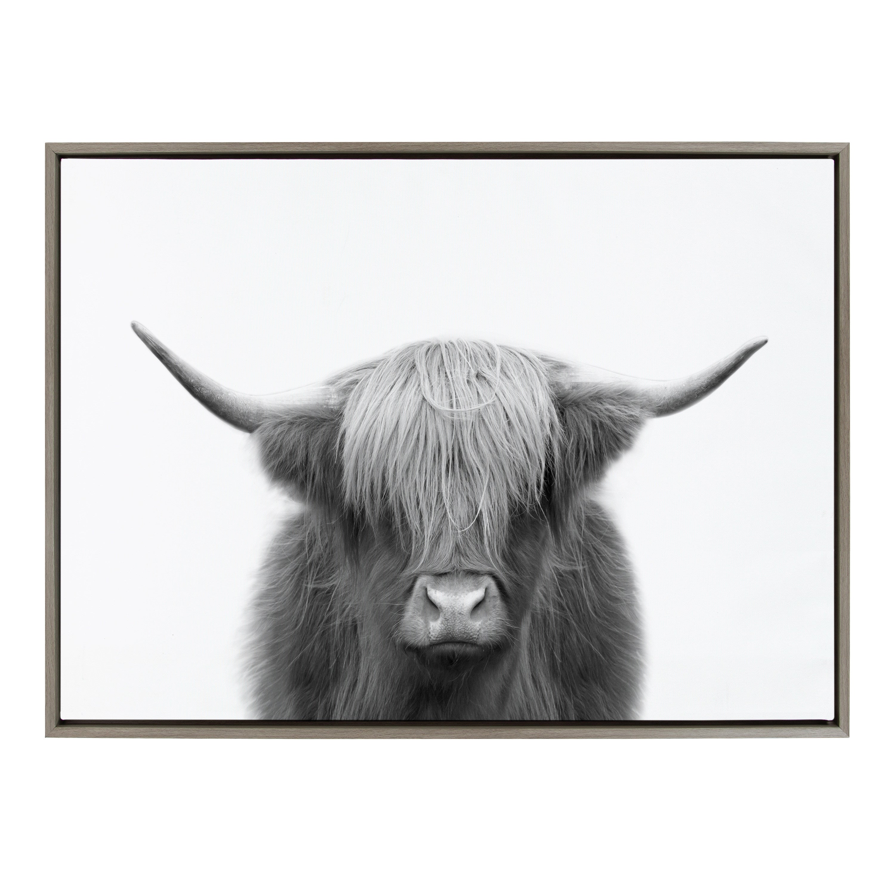 Sylvie Hey Dude Highland Cow Framed Canvas by The Creative Bunch Studio