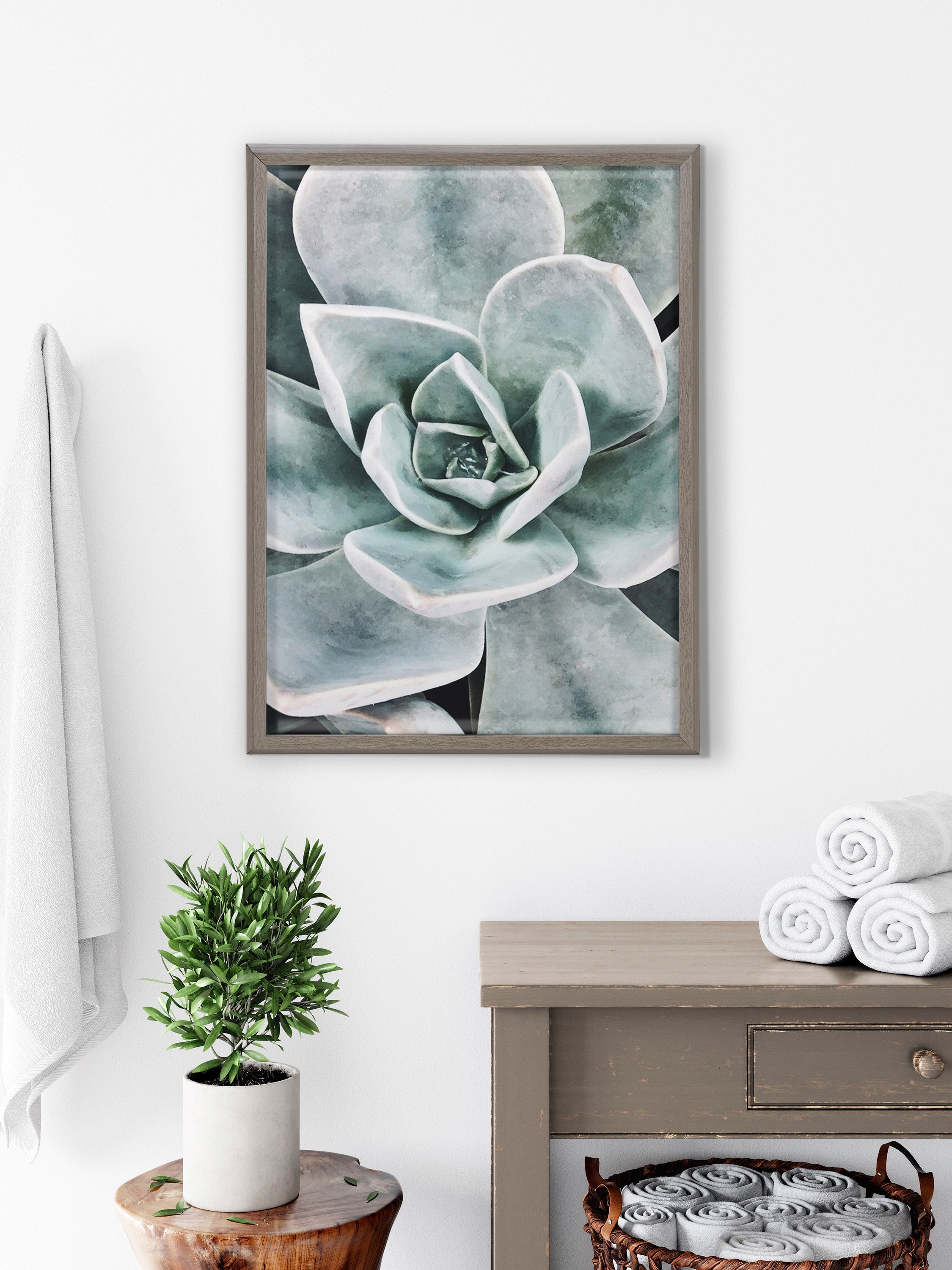 Blake Botanical Succulent Plants 3 Framed Printed Glass by The Creative Bunch Studio