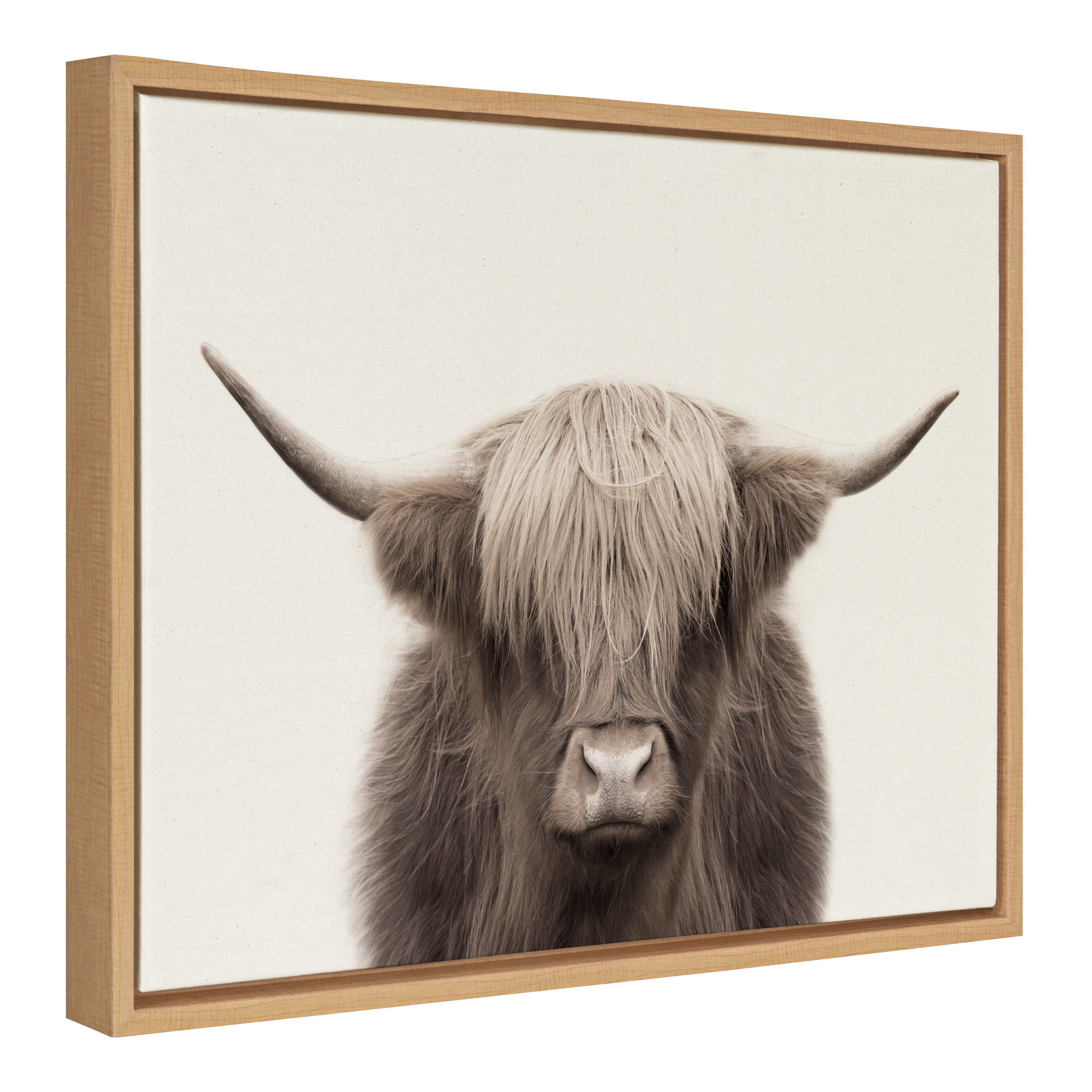 Sylvie Hey Dude Highland Cow Color Framed Canvas by The Creative Bunch Studio