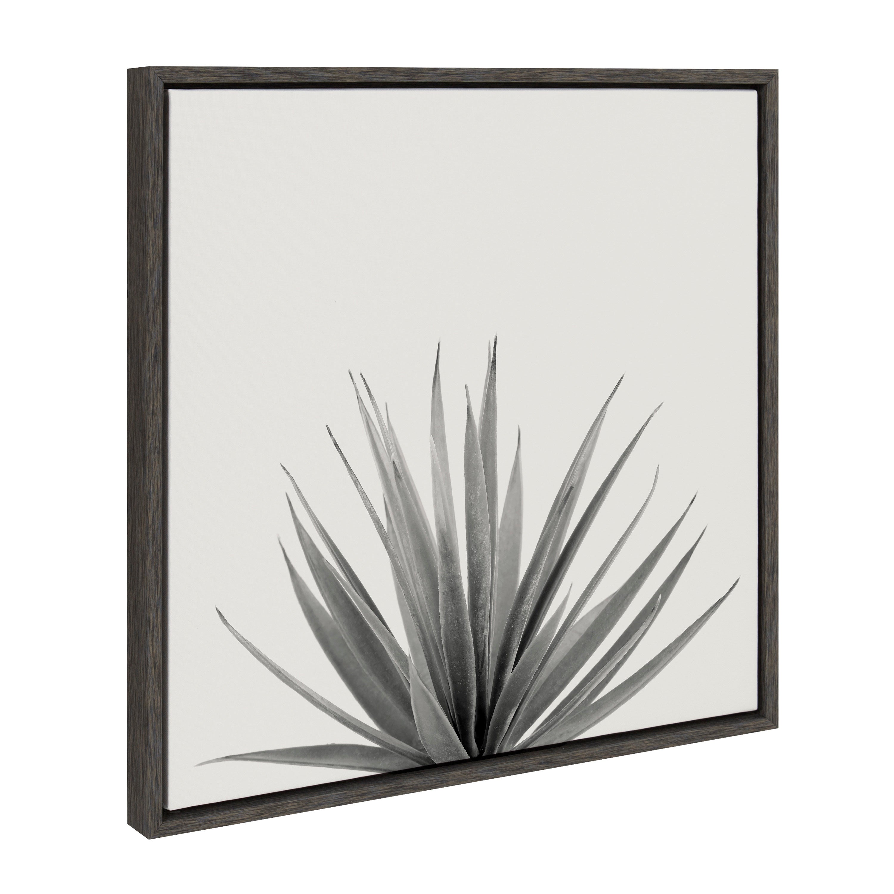 Sylvie Haze Agave Succulent Framed Canvas by The Creative Bunch Studio