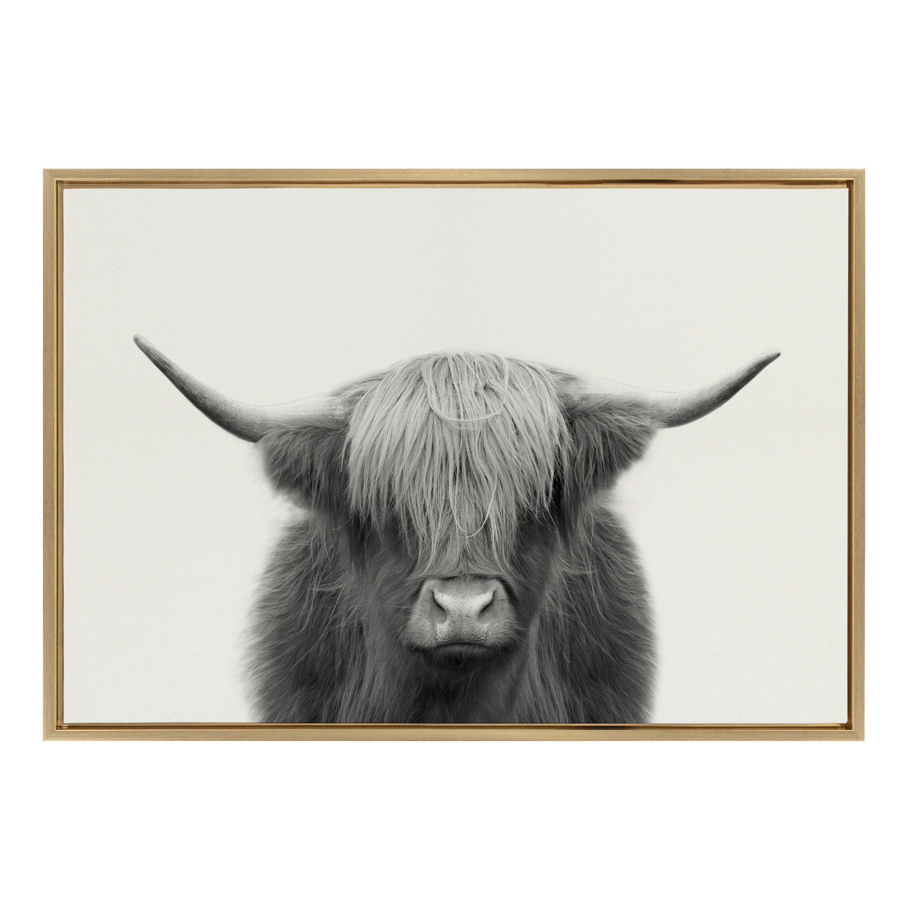 Sylvie Hey Dude Highland Cow Framed Linen Canvas by The Creative Bunch Studio
