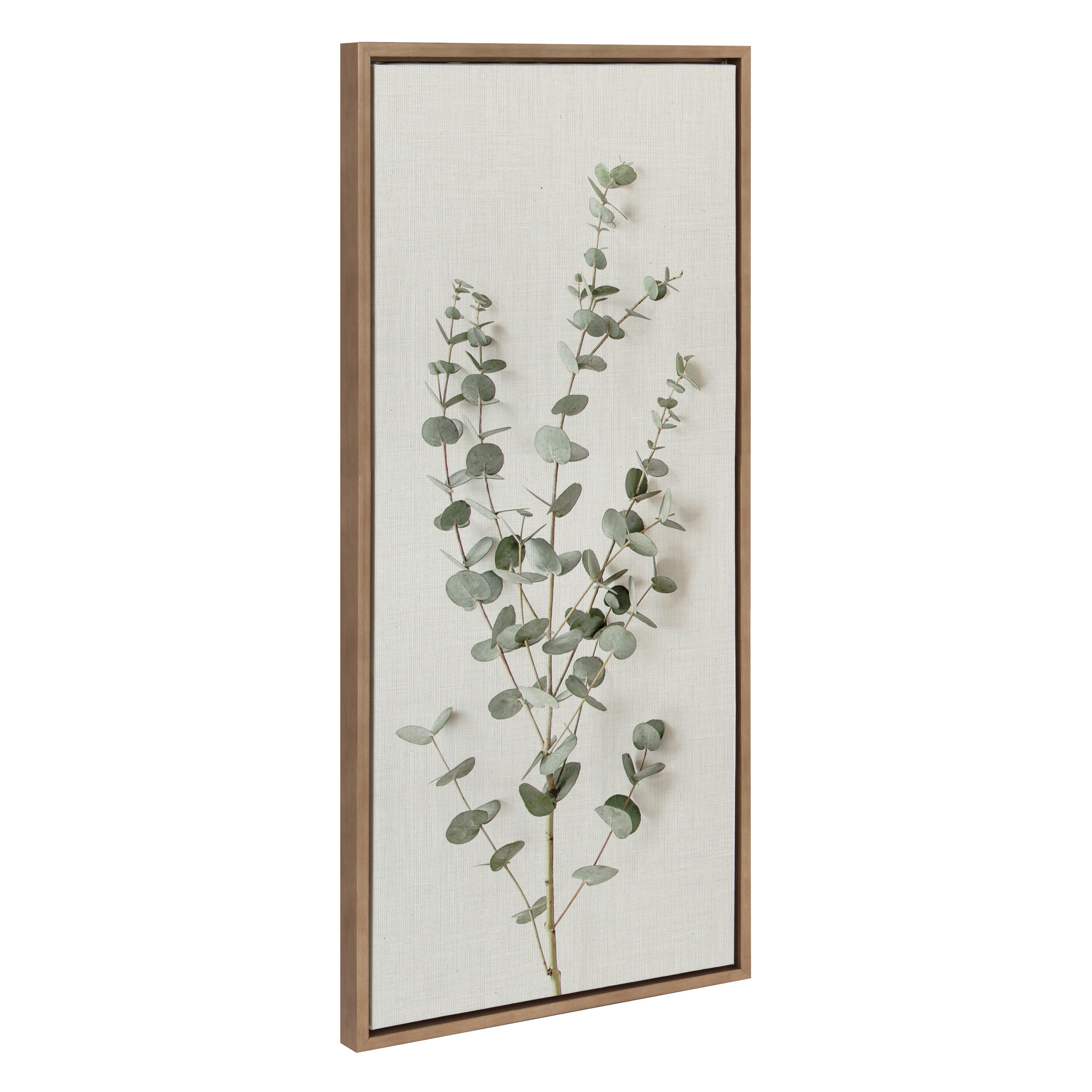 Sylvie Eucalyptus Botanical I Framed Canvas by The Creative Bunch Studio