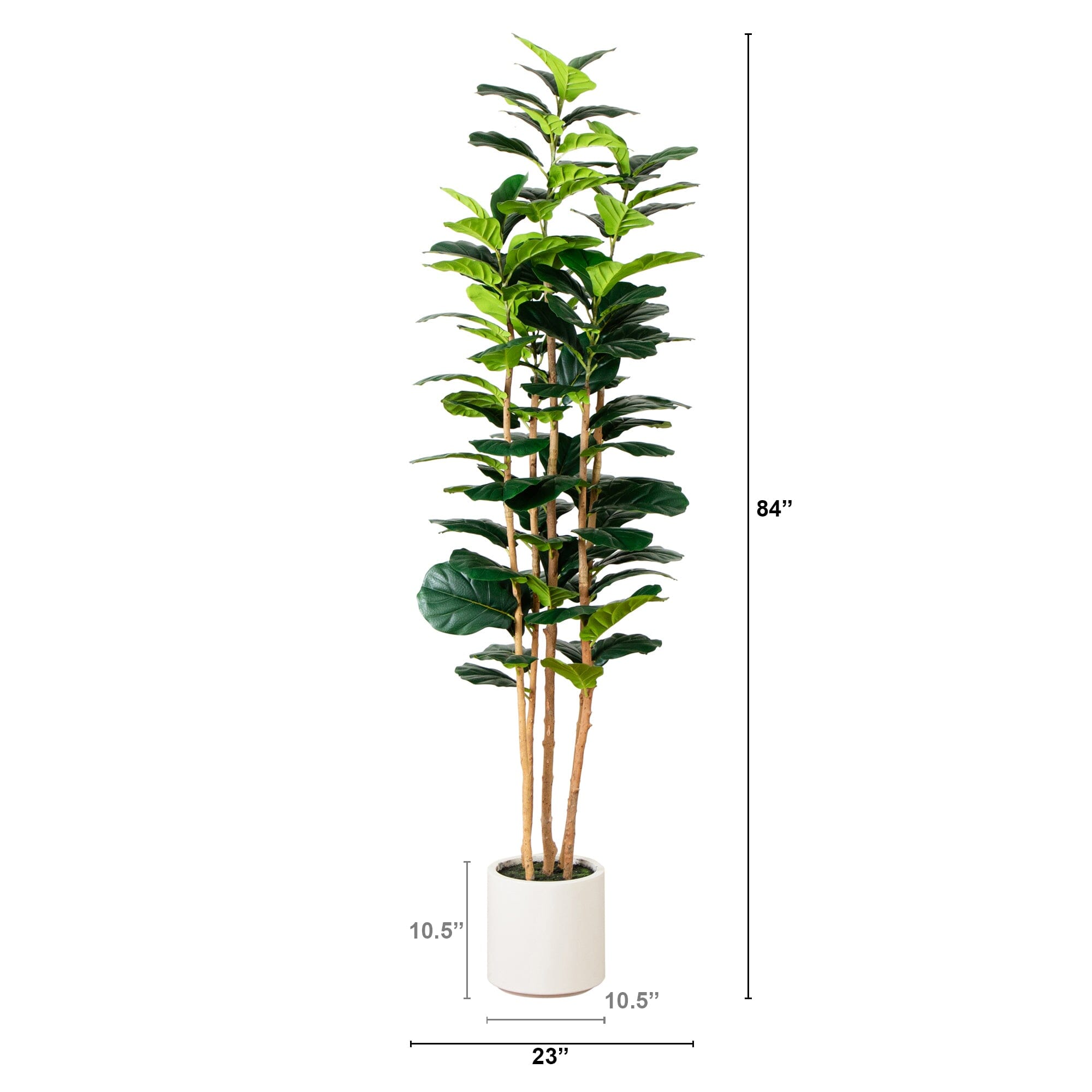 Artificial Fiddle Leaf Tree in White Planter - 7'-3