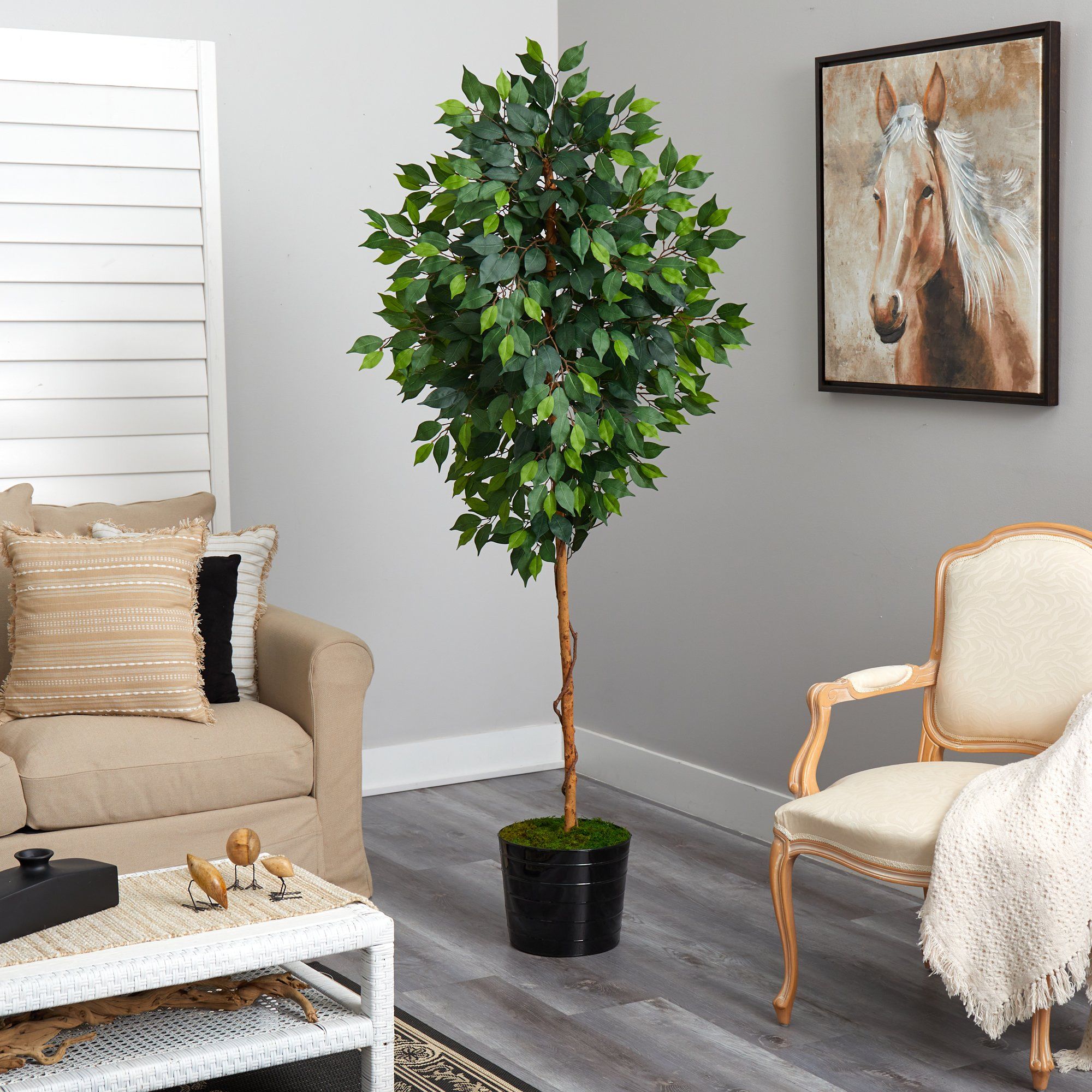 Faux Ficus Tree in Black Planter, 74”-3
