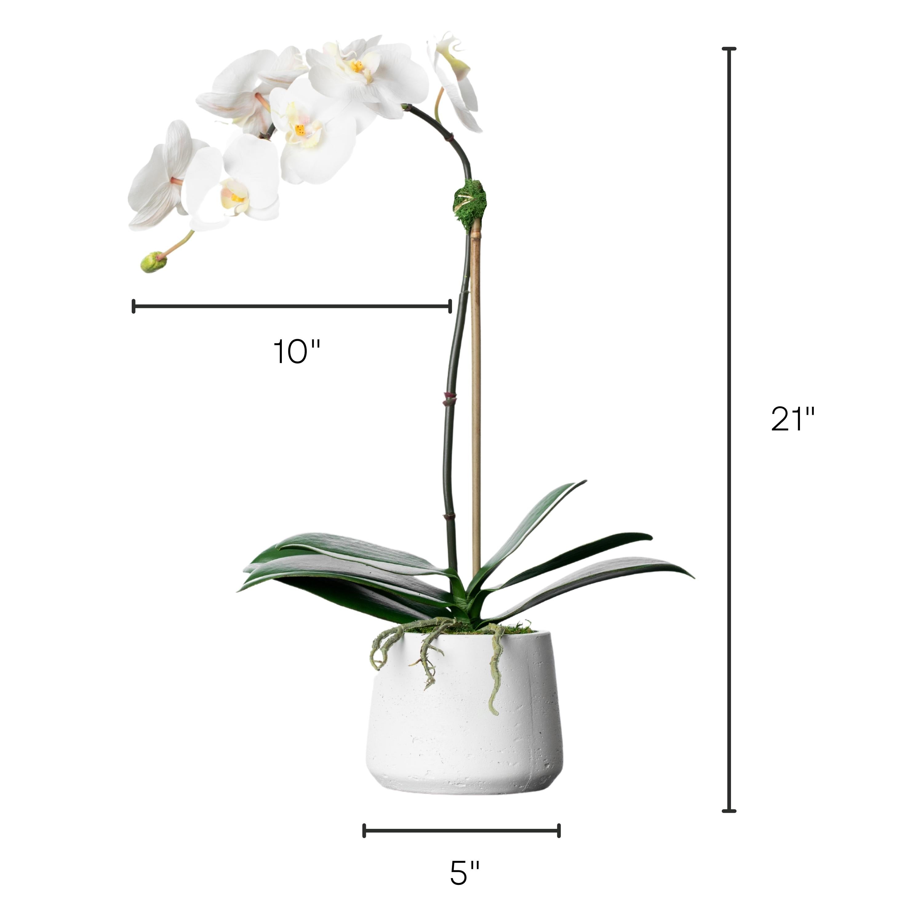 Artificial orchid plant - white orchid in white pot - 21"