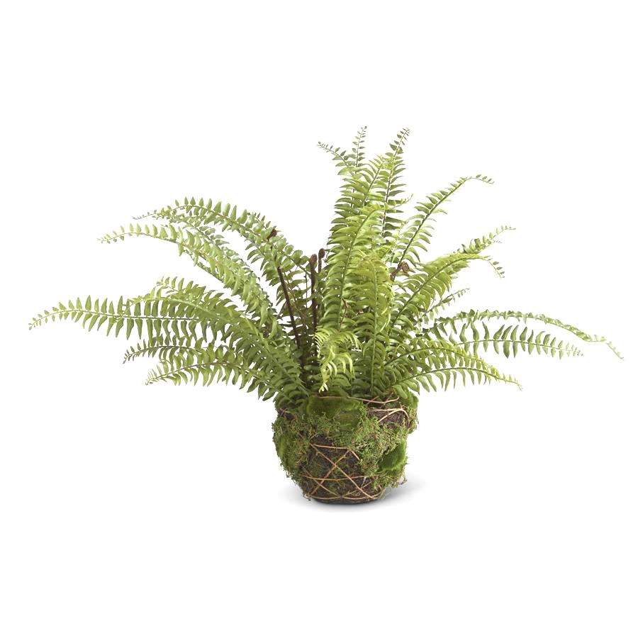 Artificial fern plant in moss and twig basket - 27"-0