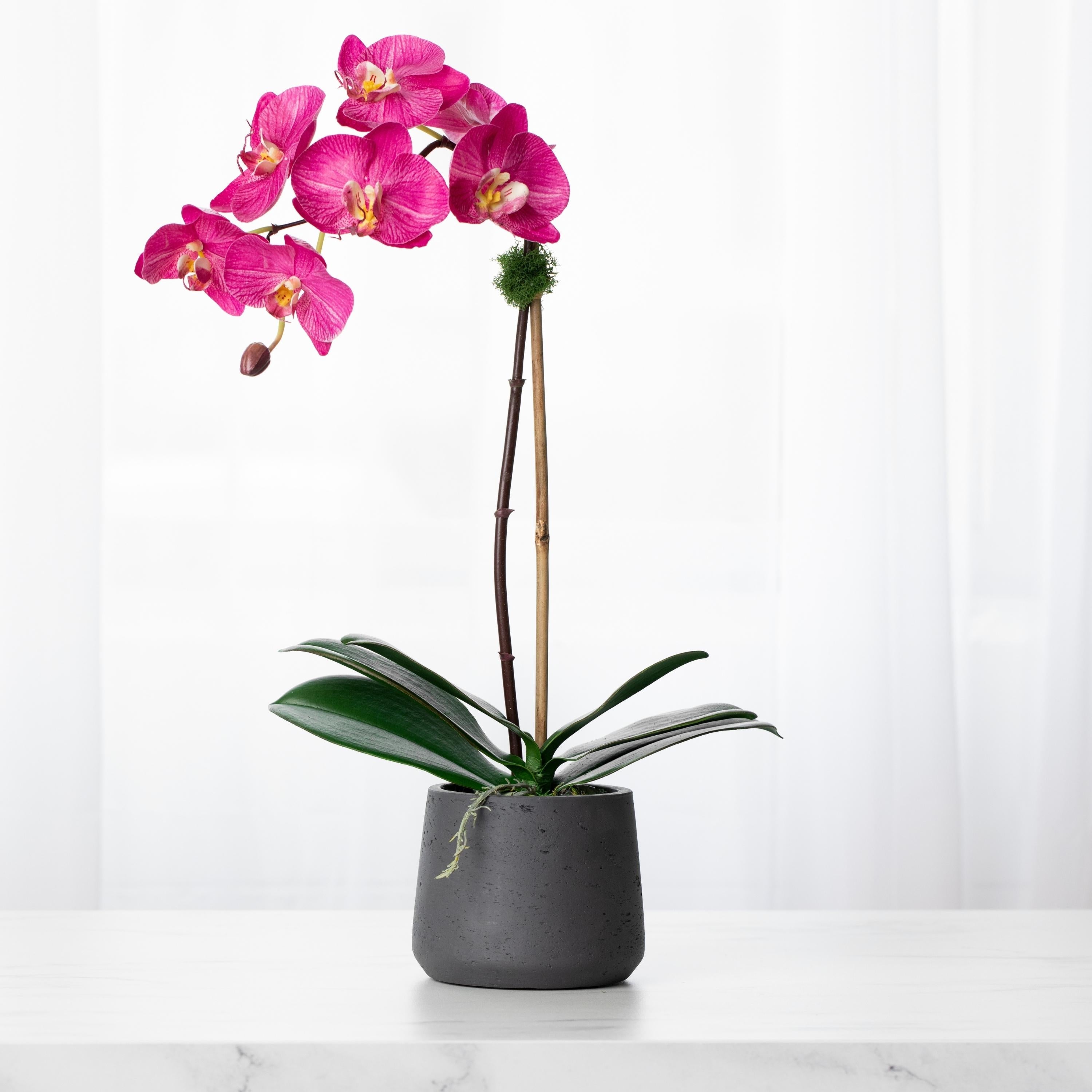 Artificial orchid plant - pink phalaenopsis orchid in black pot - 21"-0
