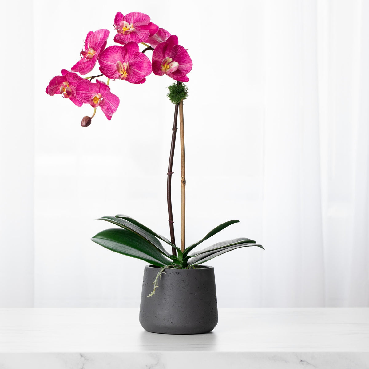Artificial orchid plant - pink phalaenopsis orchid in black pot - 21"
