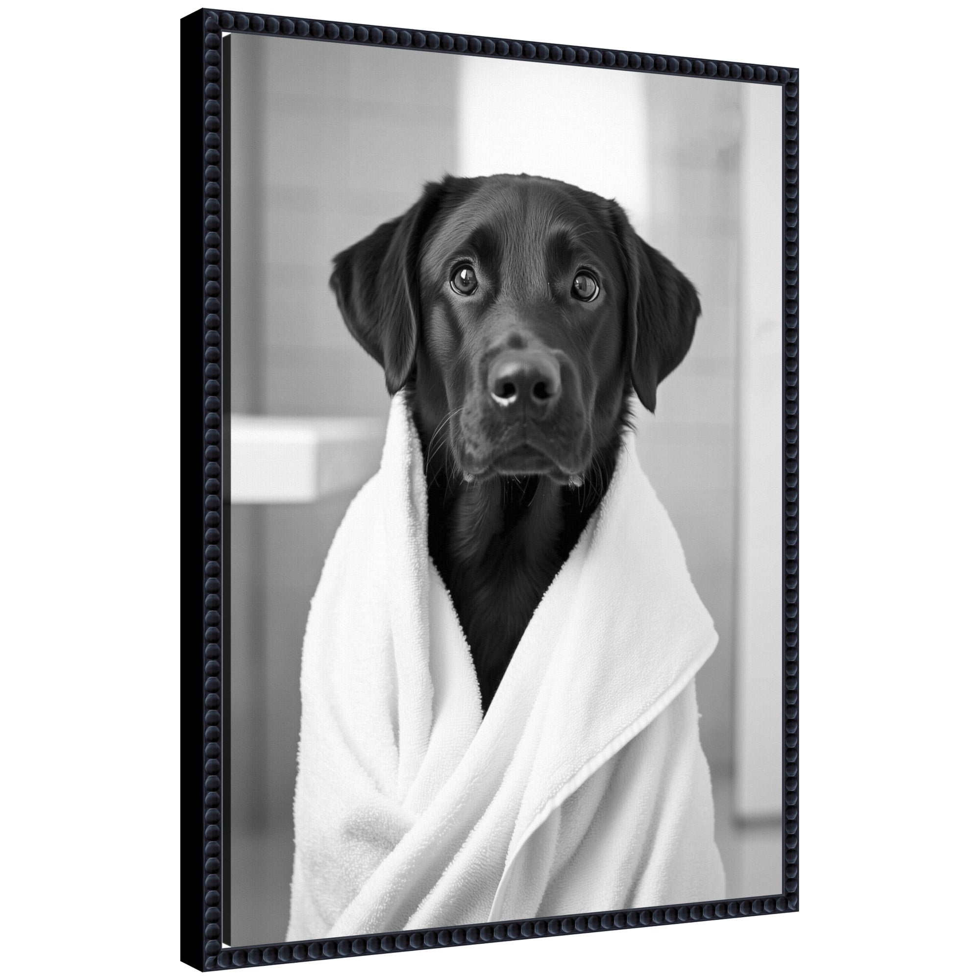 Sylvie Black Lab Bathroom Art Towel Robe Black and White Framed Canvas by The Creative Bunch Studio