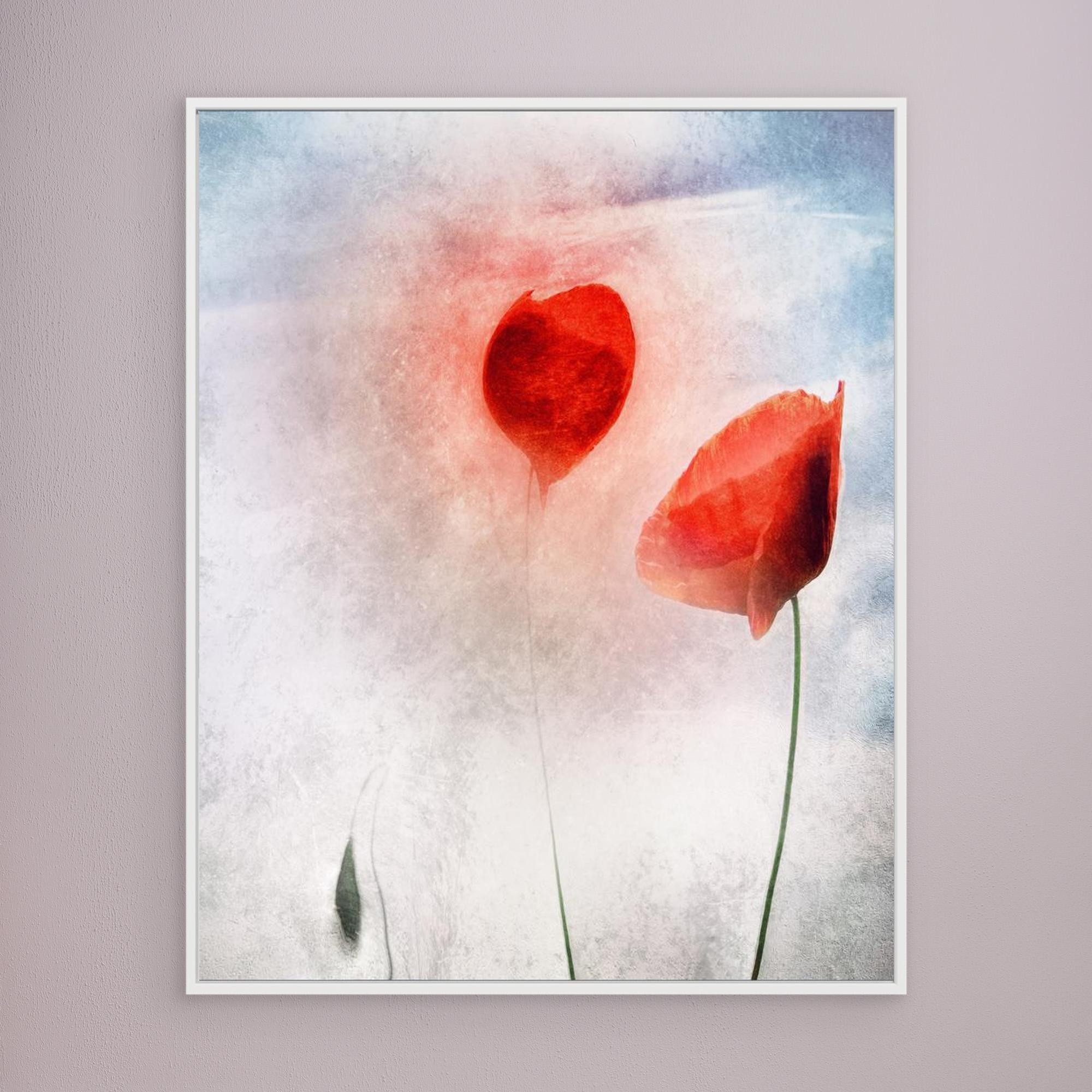 In Flanders Fields by Gilbert Claes