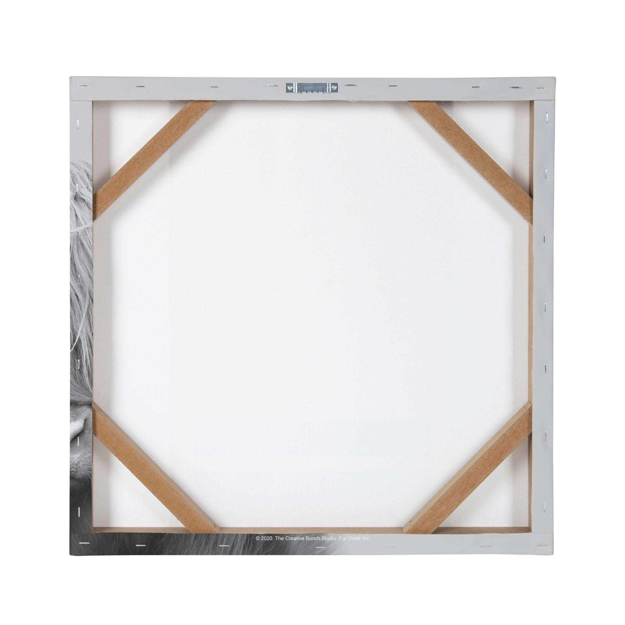 Hey Dude Highland Cow Gray Canvas by The Creative Bunch Studio