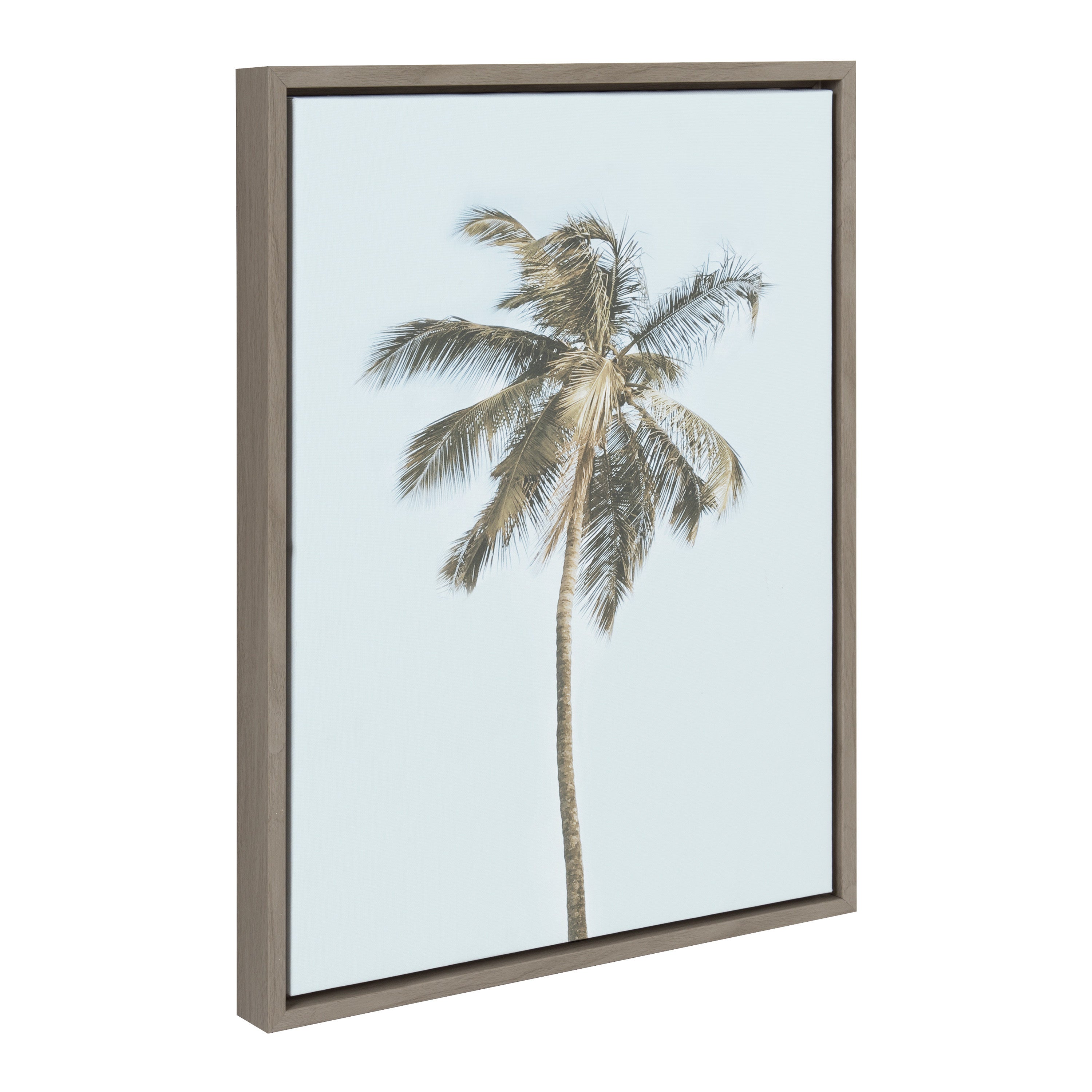 Sylvie One Coconut Palm Tree Framed Canvas by The Creative Bunch Studio