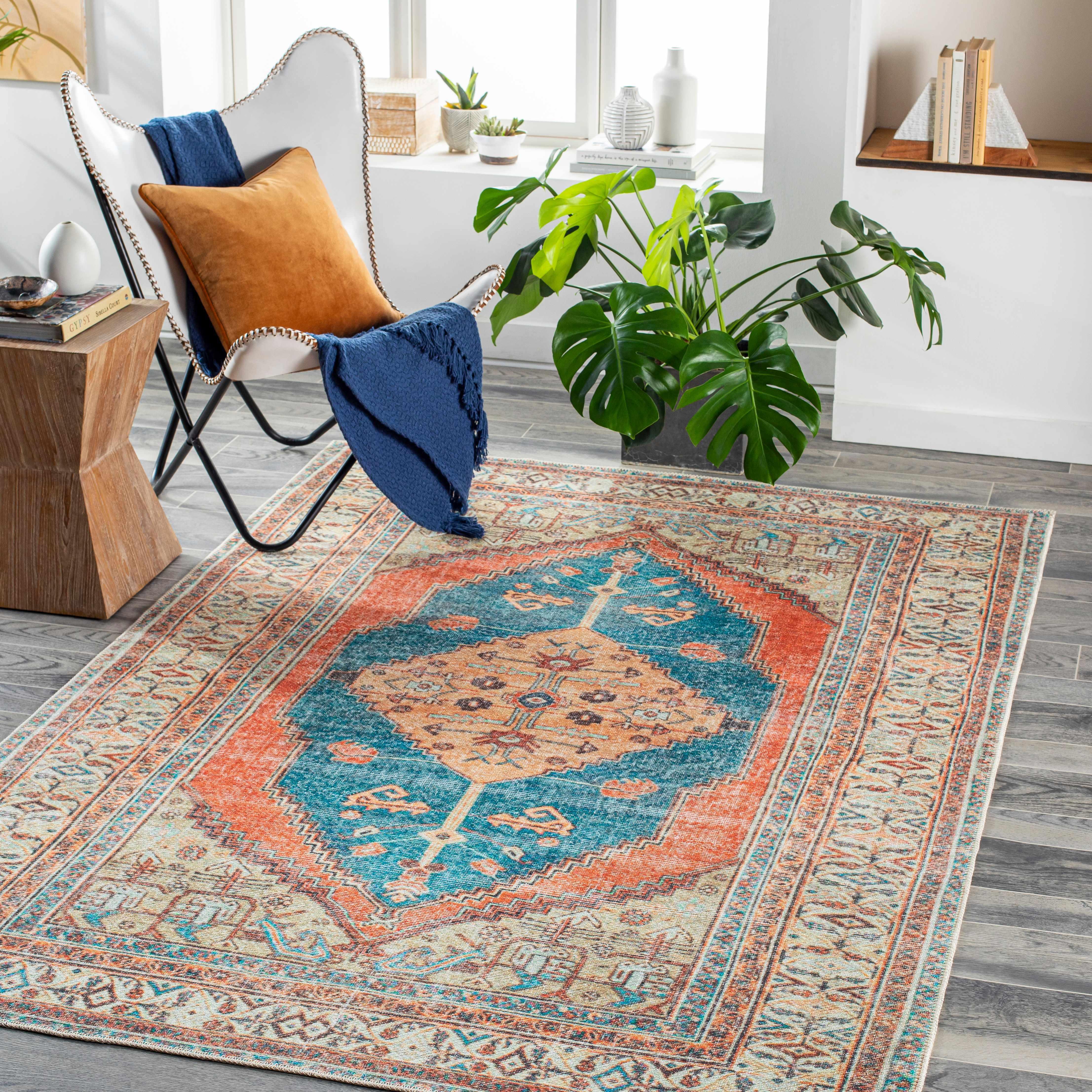 Baganga Washable Area Rug - Clearance - PRHOMZ