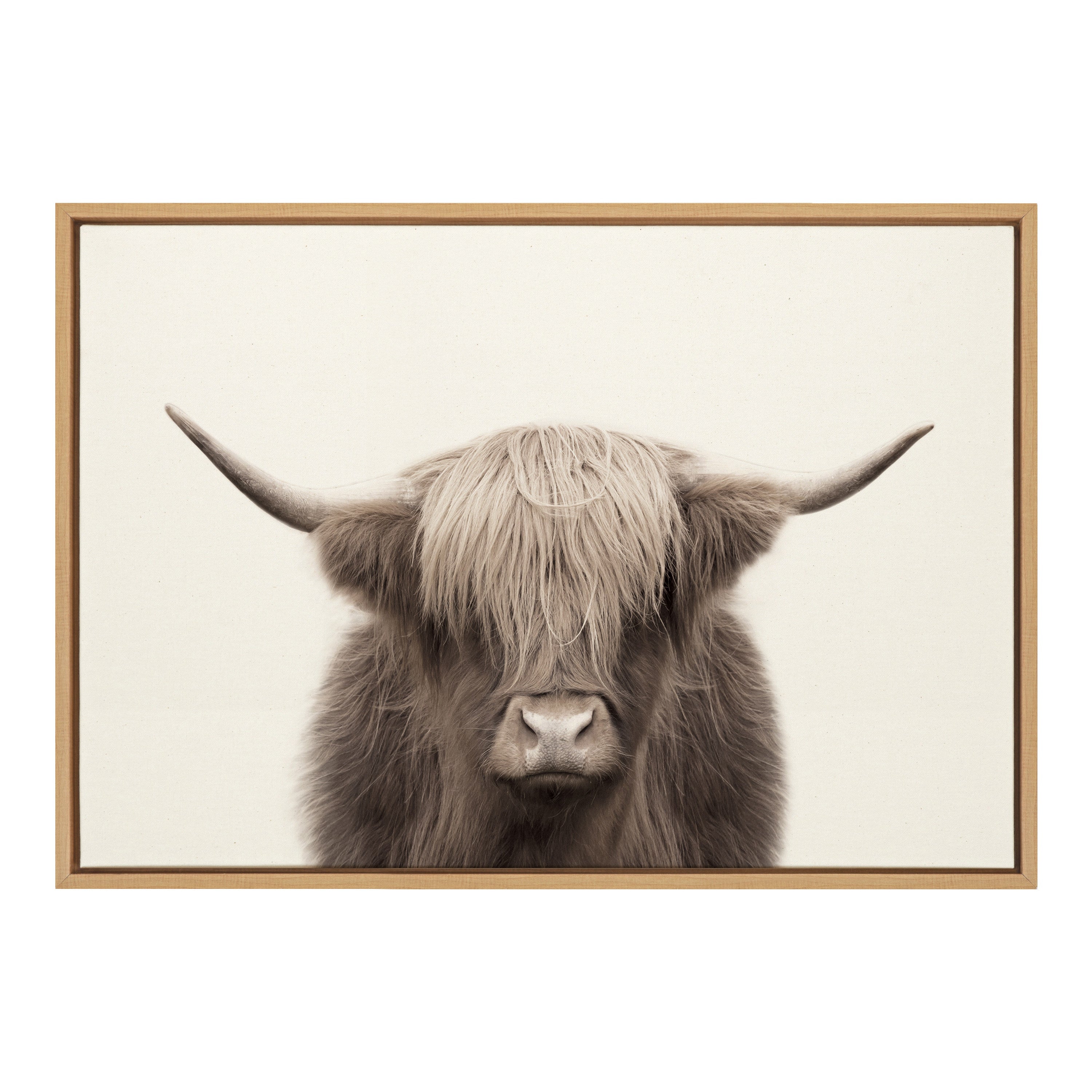 Sylvie Hey Dude Highland Cow Color Framed Canvas by The Creative Bunch Studio