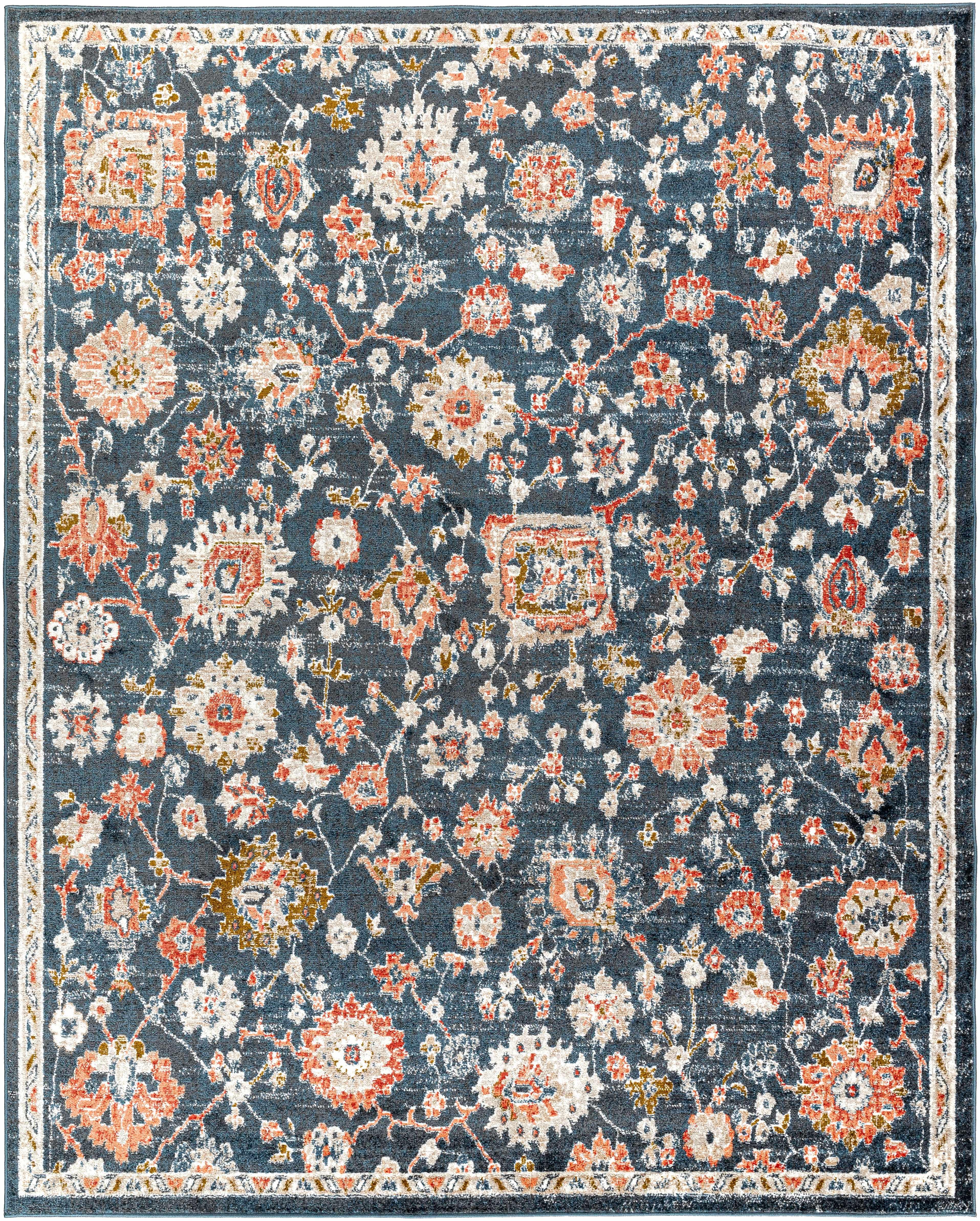 Bialong Traditional Area Rug - Clearance - PRHOMZ