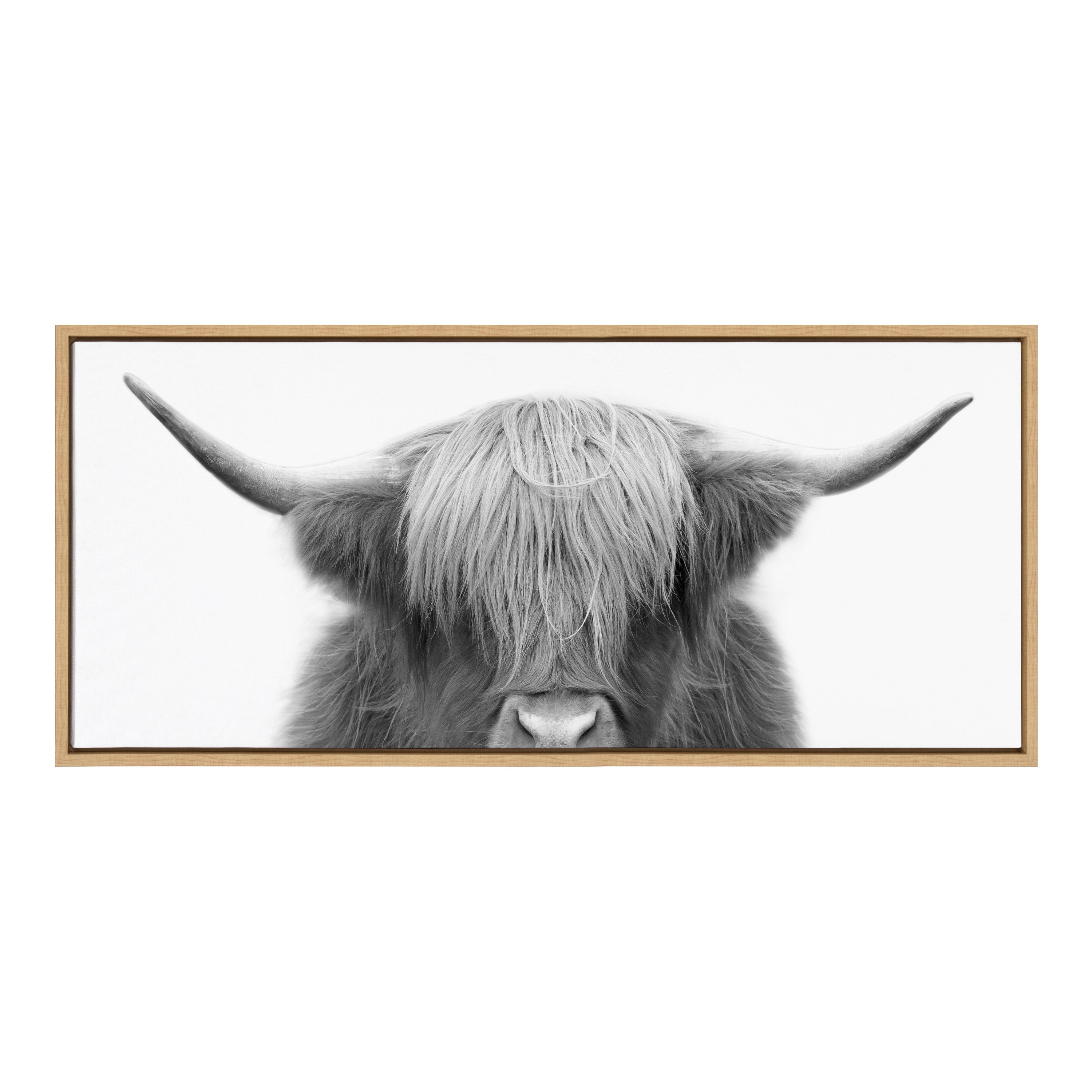 Sylvie Hey Dude Highland Cow Framed Canvas by The Creative Bunch Studio