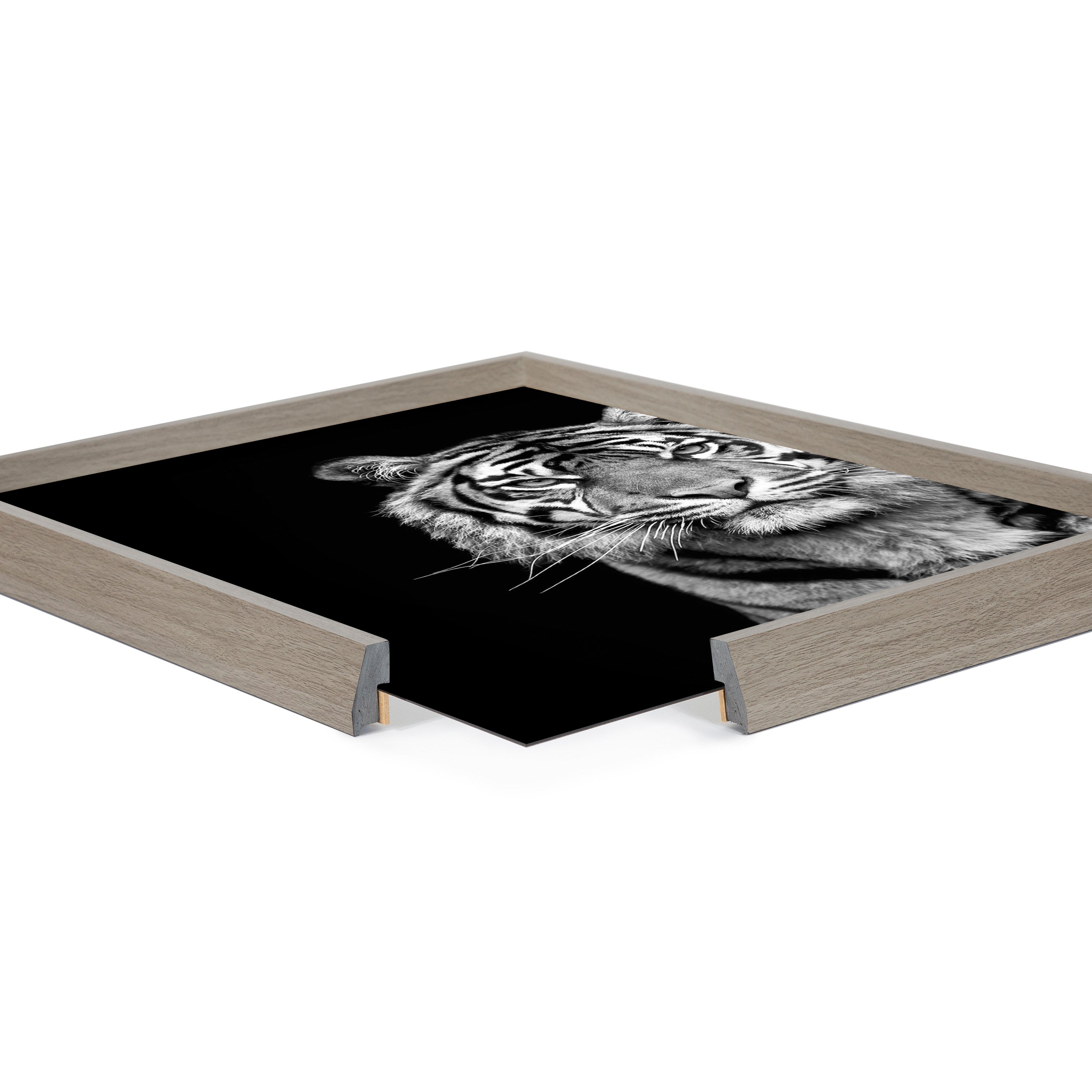 Blake Tiger Minimalist Animal Framed Printed Glass by The Creative Bunch Studio