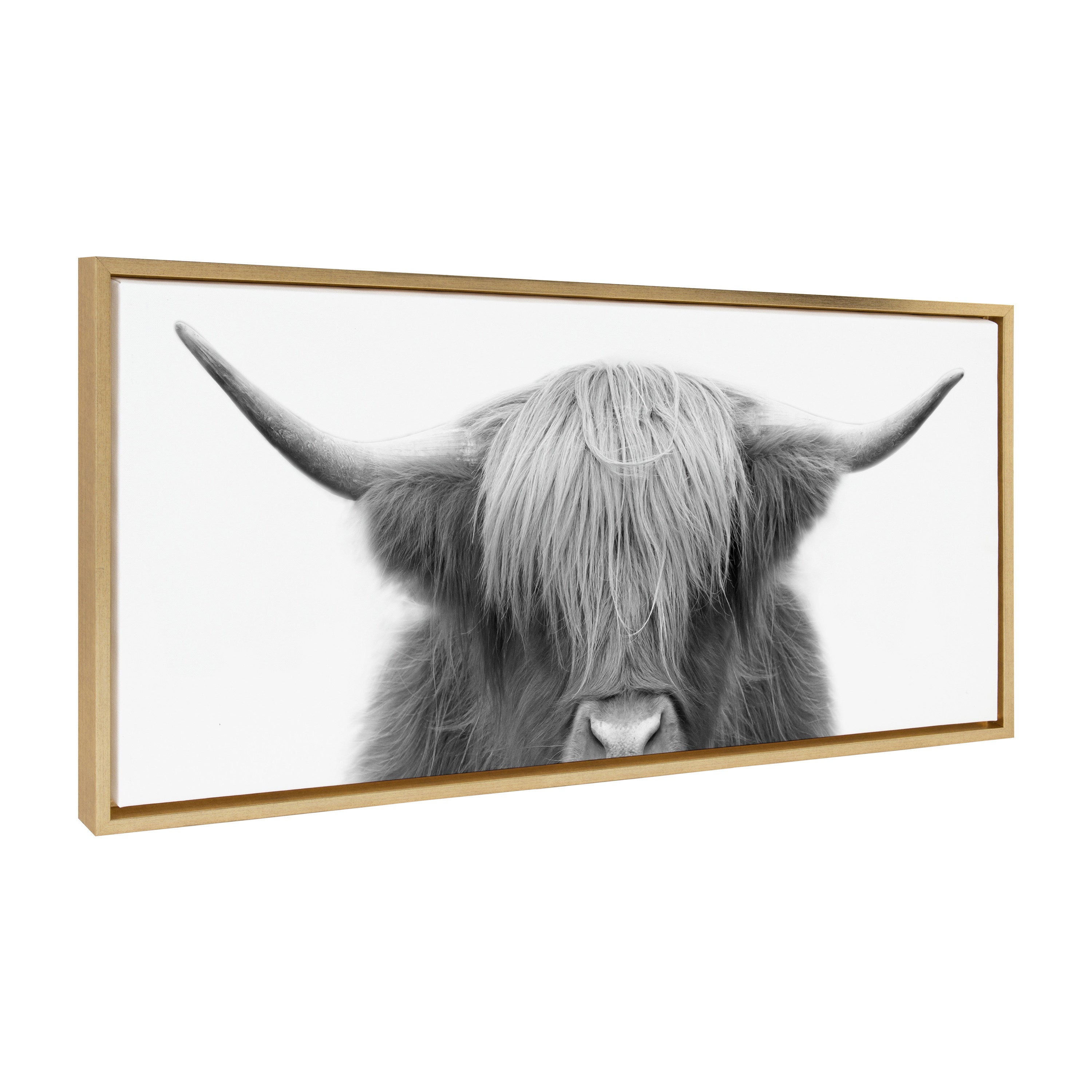 Sylvie Hey Dude Highland Cow Framed Canvas by The Creative Bunch Studio