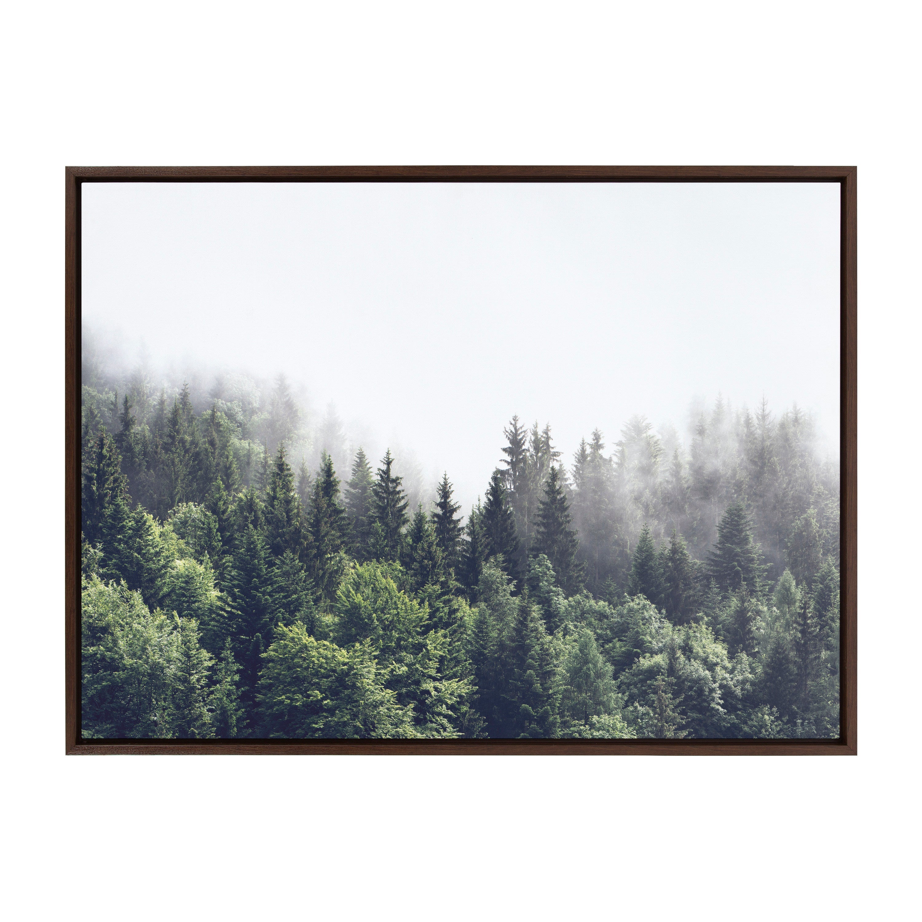 Sylvie Lush Green Forest On A Foggy Day Framed Canvas by The Creative Bunch Studio